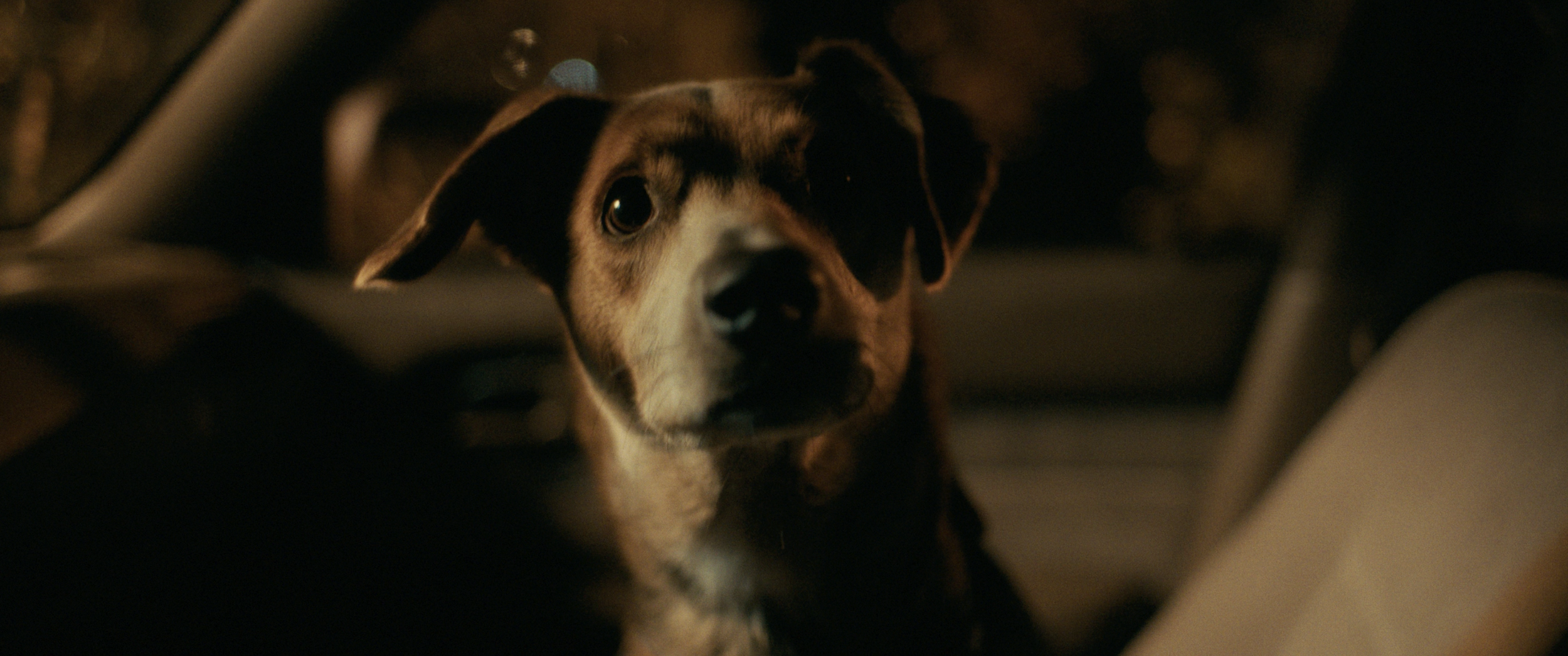 Screenshot 2026-01-05 at 2.19.35 PM.png