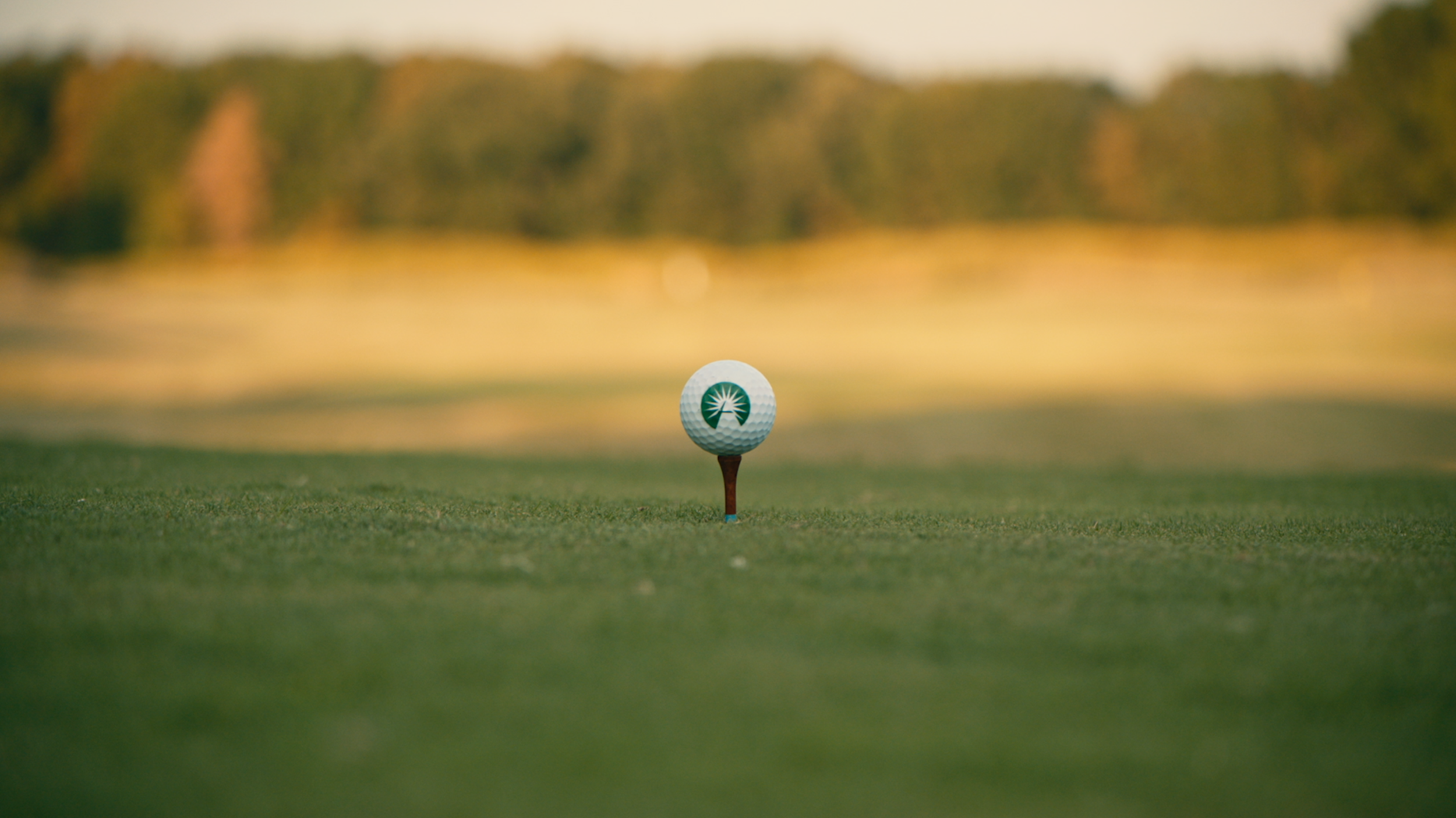 Screenshot 2025-12-13 at 4.21.09 PM.png