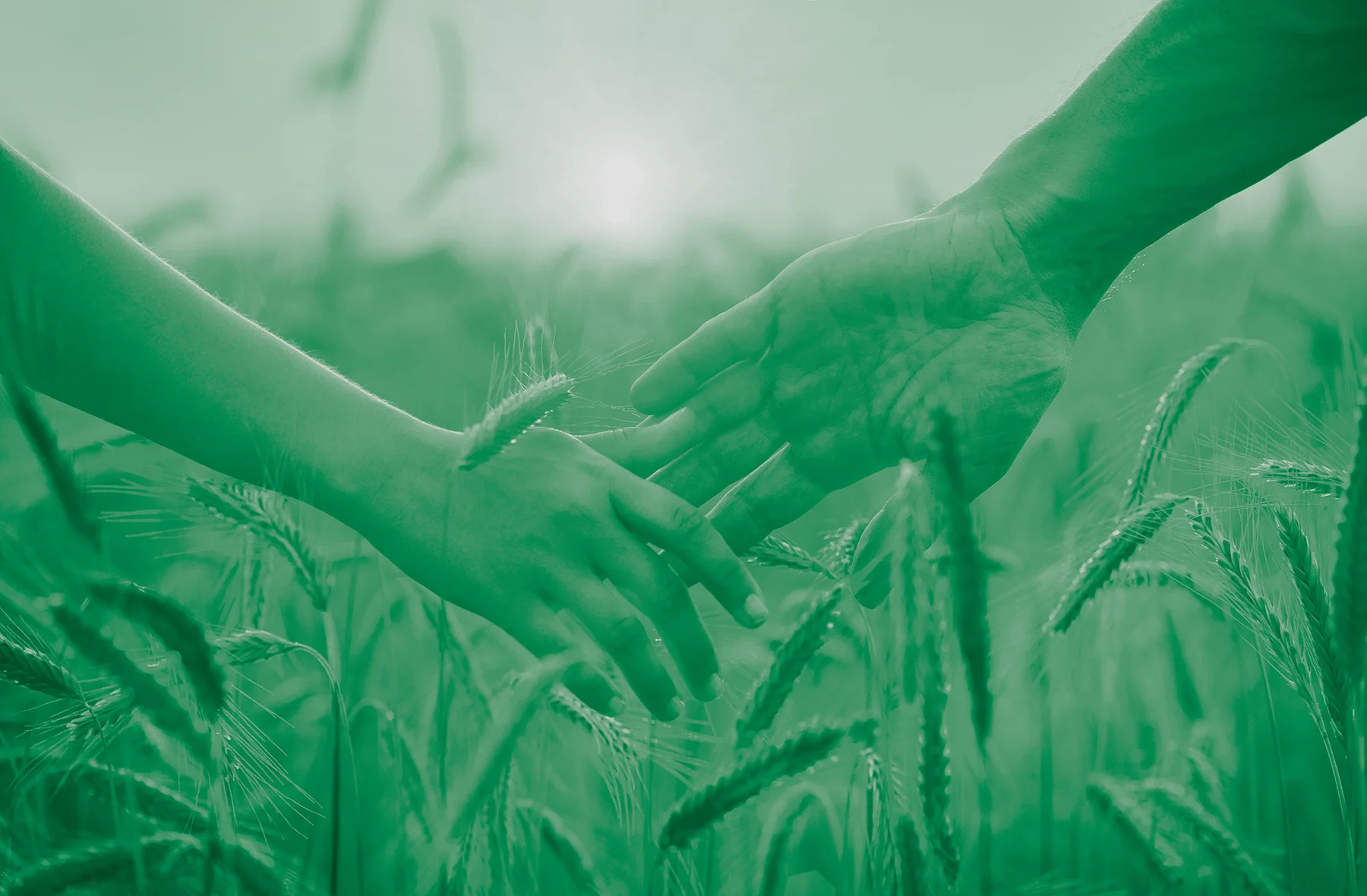 AdobeStock_86784707_Green.jpg