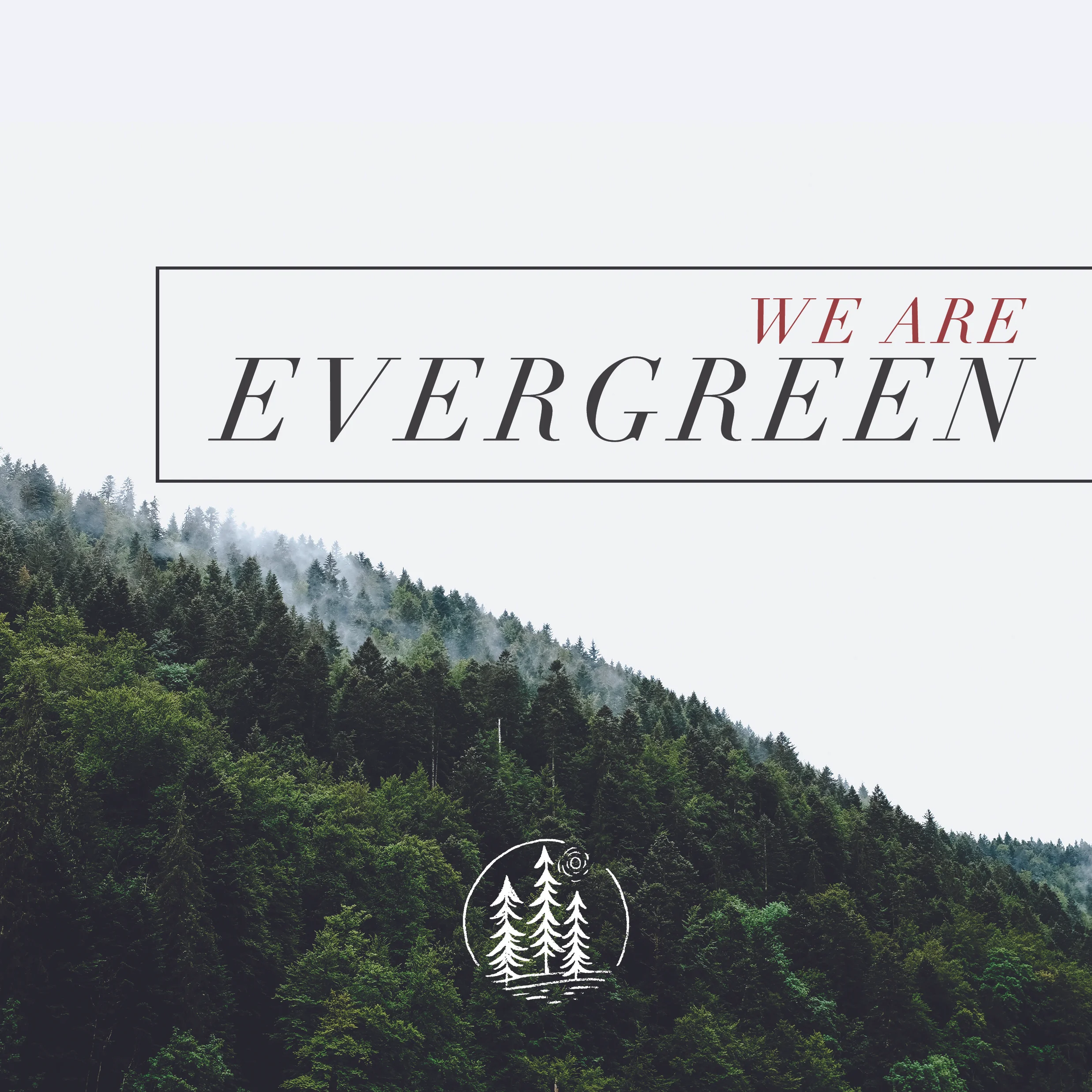 Evergreen.jpg