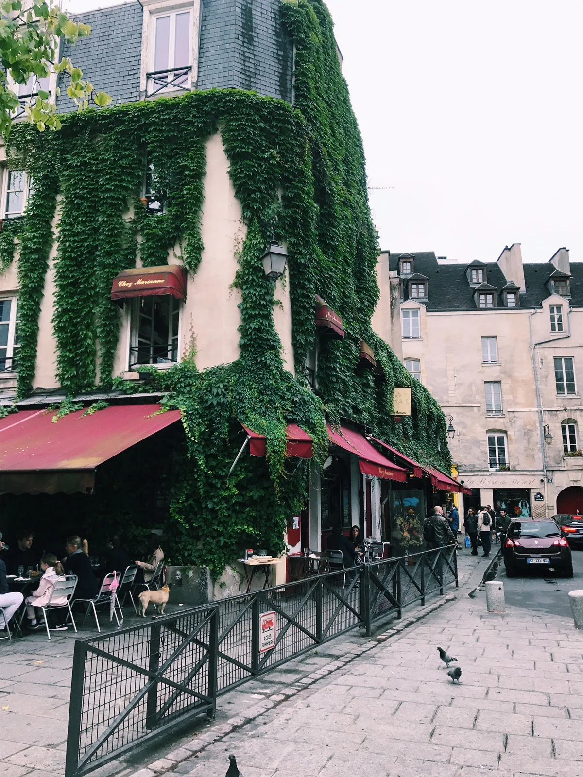 VSCO Cam-9.jpg.jpeg