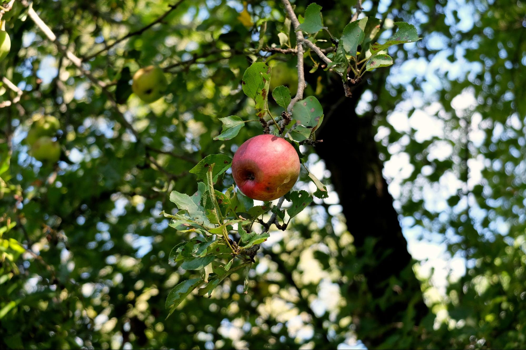 image10.jpg