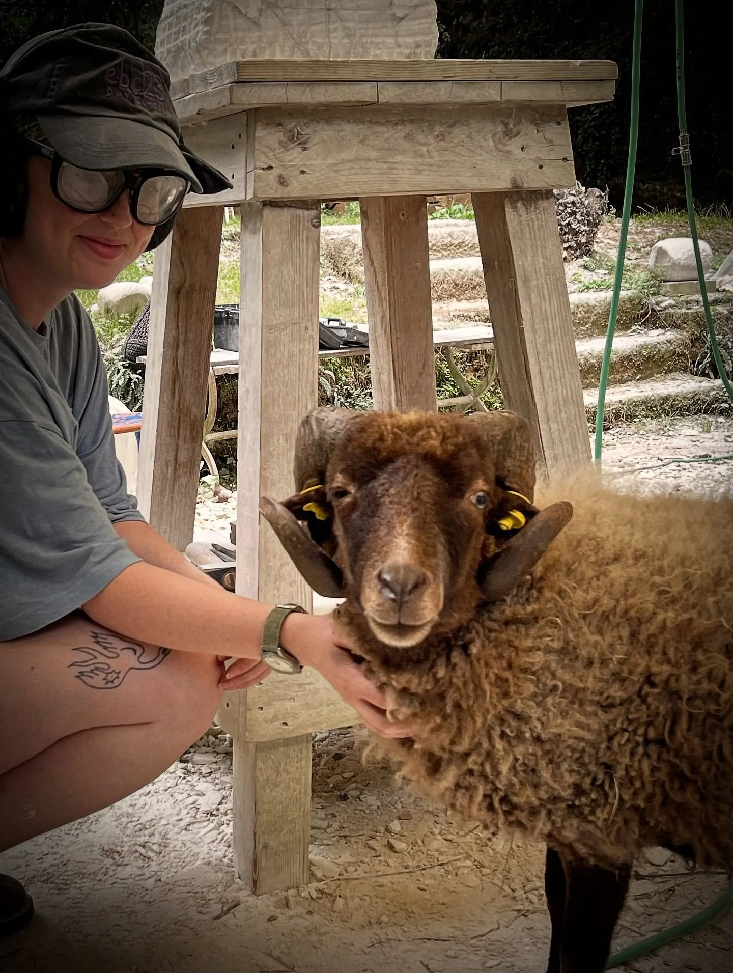 Wishing you all a wonderful weekend with a few pics of our sweet studio sheep 🤣 when they visit us in the studio 😊

Ps: we are actually very serious and professional when we teach marble sculpting!!! 😌

#marbleworkshop #carving #sheep #art #marble