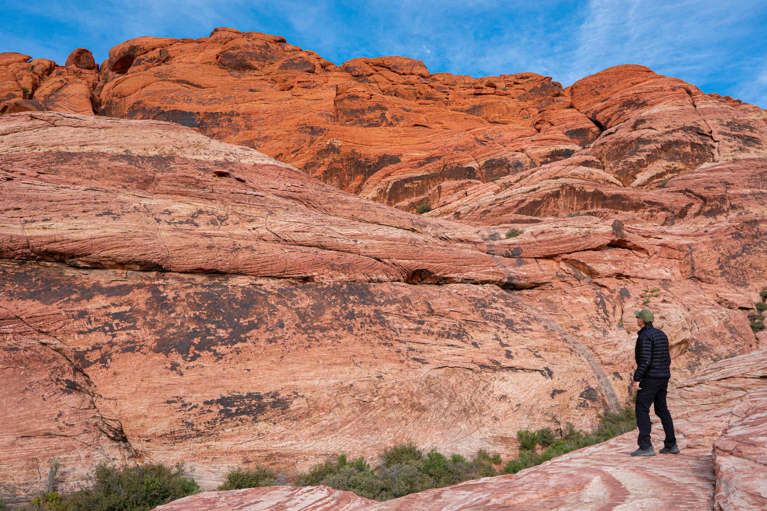 Lucido Agency is Coming to Nevada