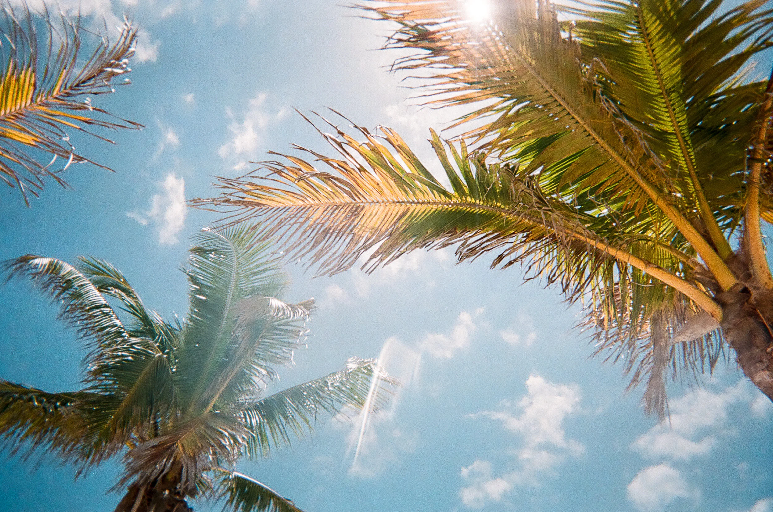 Lucido Global is Coming to St. Pete