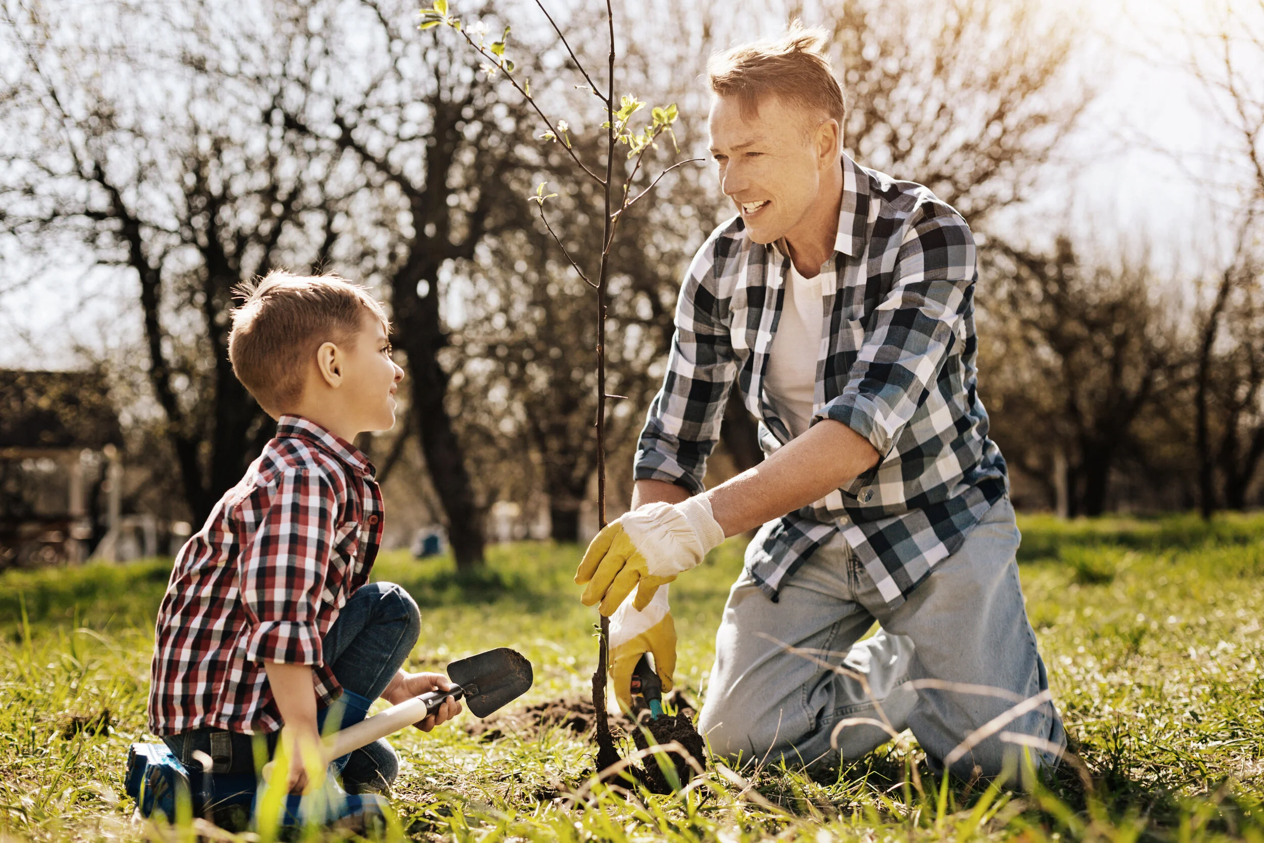 Dad’s Guide to the Perfect Lawn