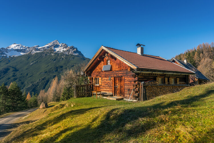 GEMINI_log cabin.jpeg