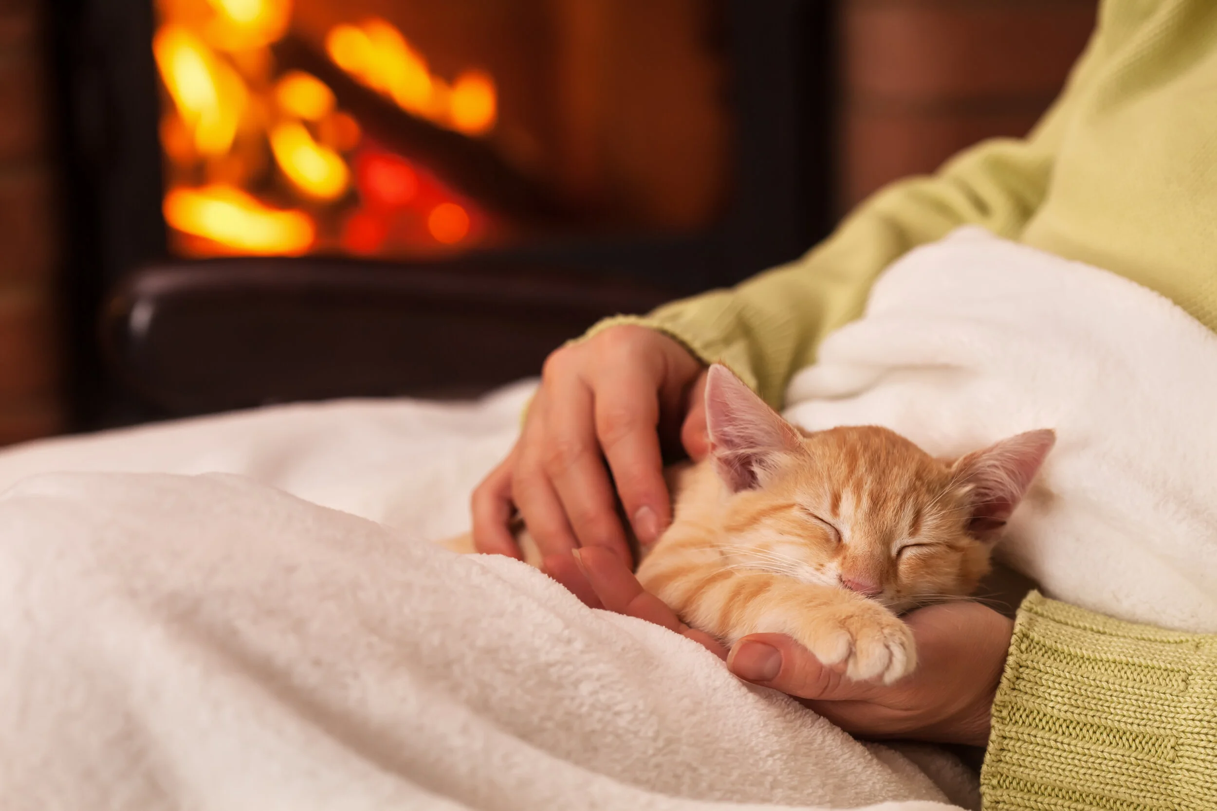 Is Your Home Fire Safe for Your Pet?