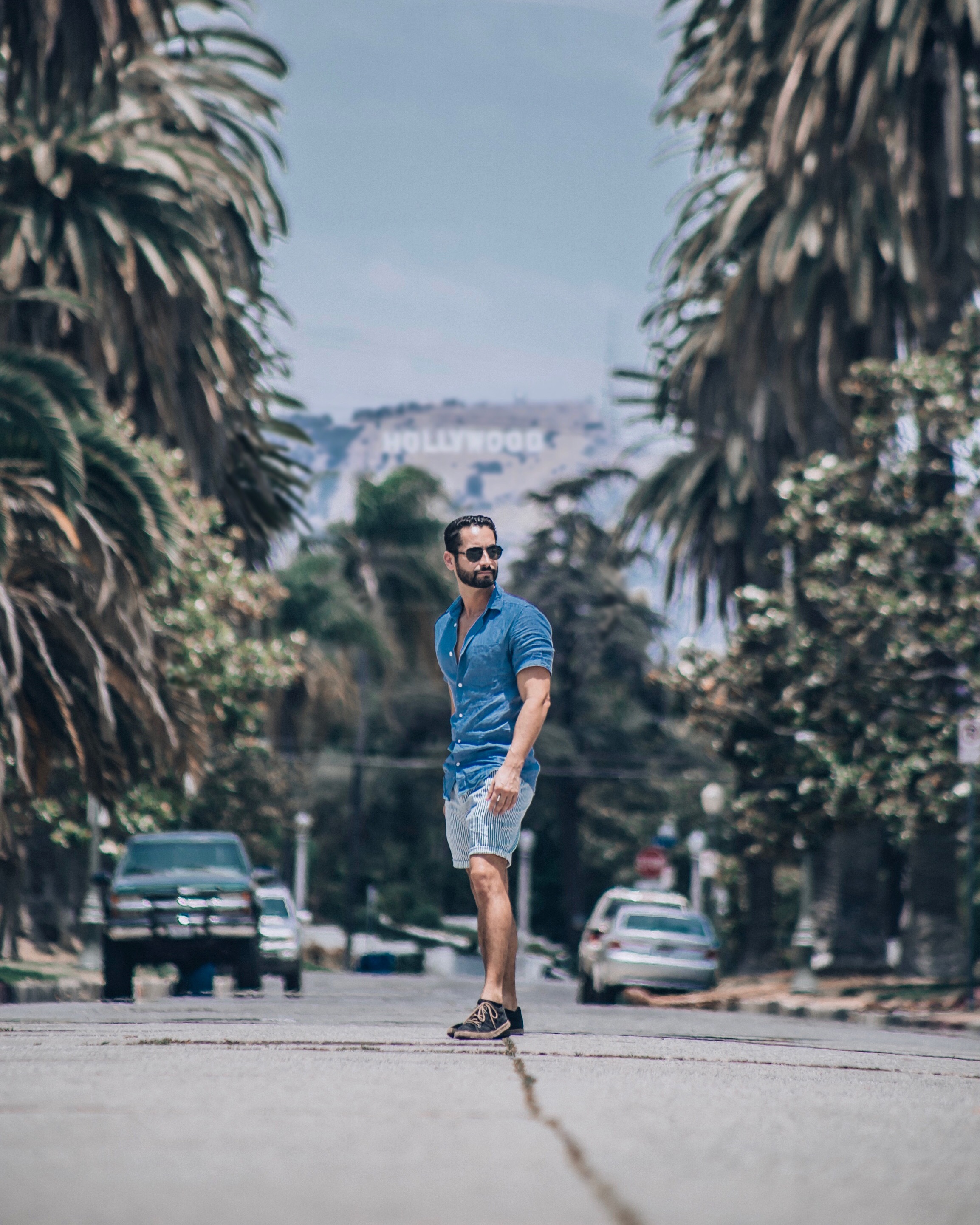 Love these palm tree lined streets.