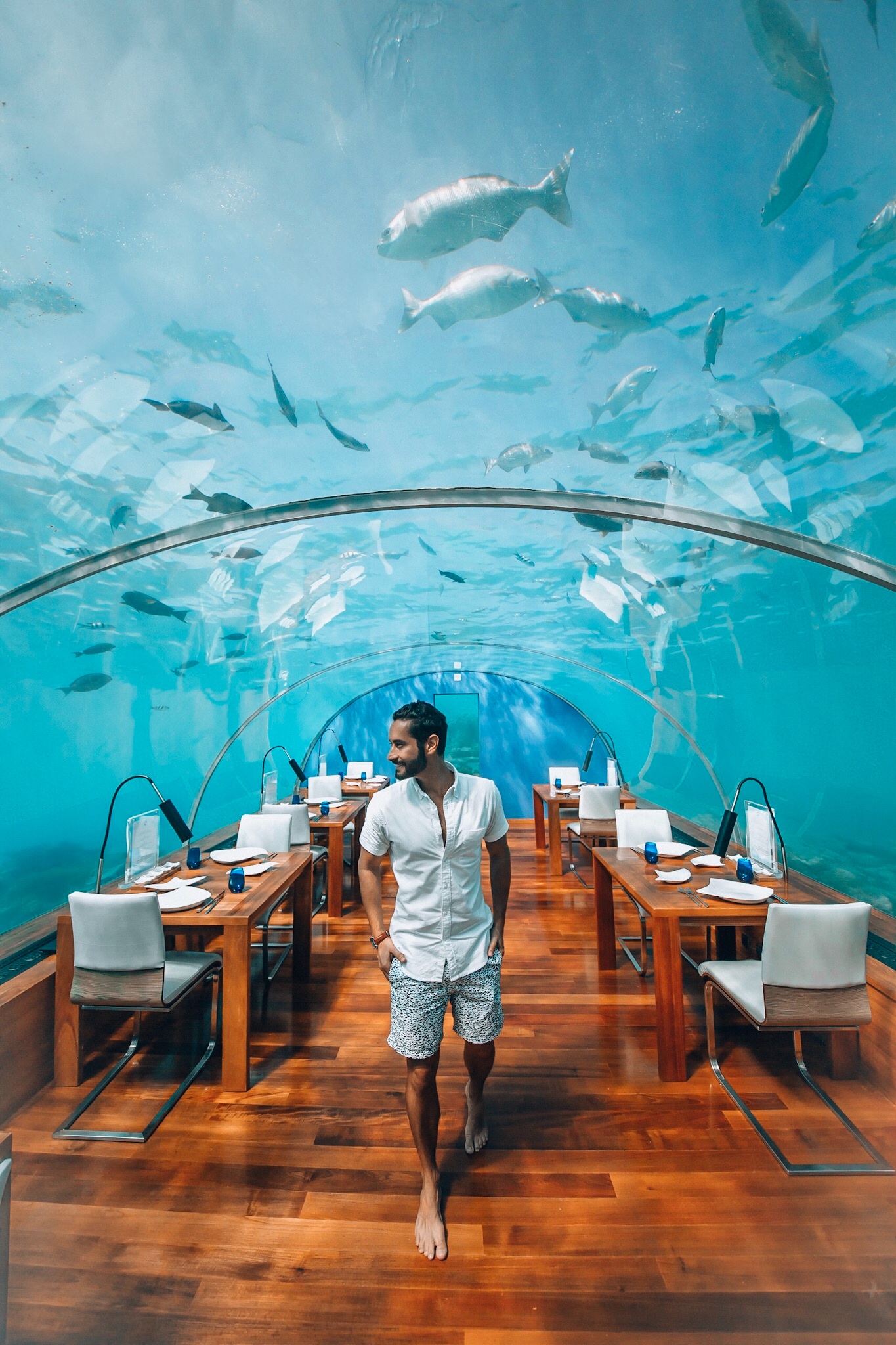  Conrad Maldives is a wonderful destination resort offering many unique experiences- the most famous perhaps being their underwater restaurant! The resort occupies two islands which are connected by a bridge. One is larger ideal for families, and the