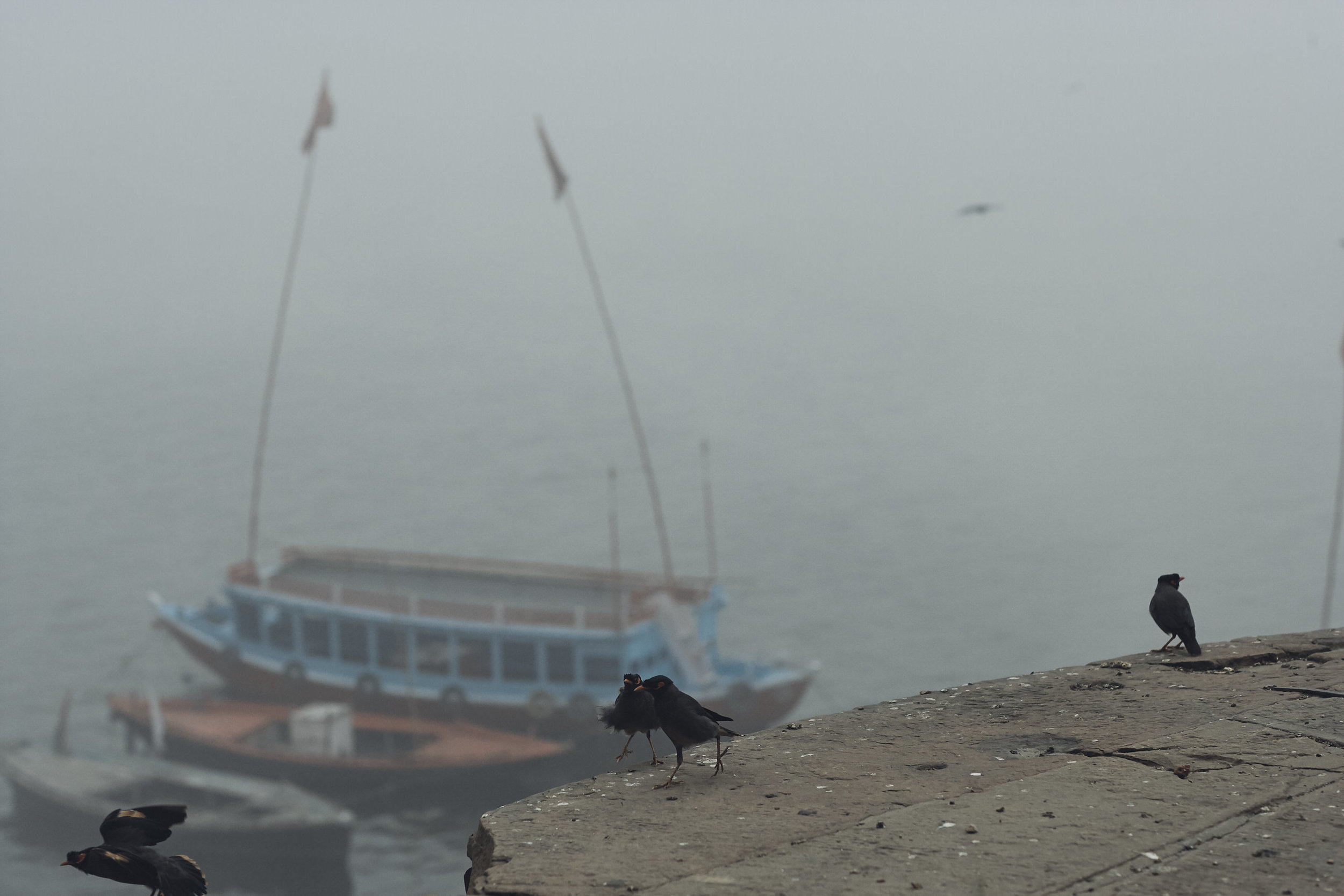 India0105.jpg