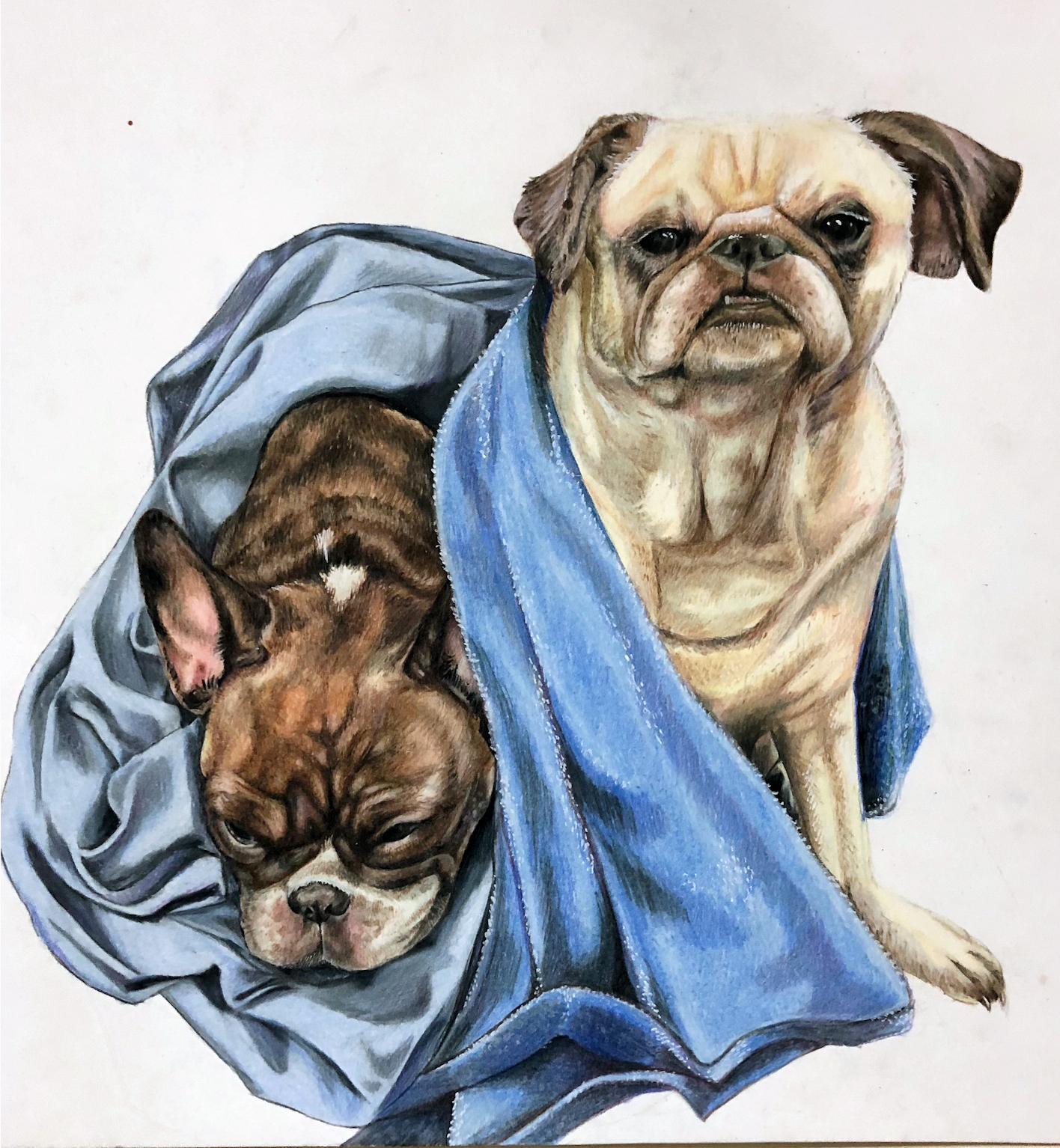Dogs Illustration