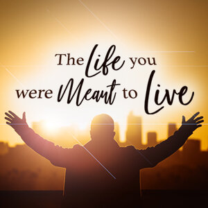 The Life You Were Meant To Live_300x300.jpg