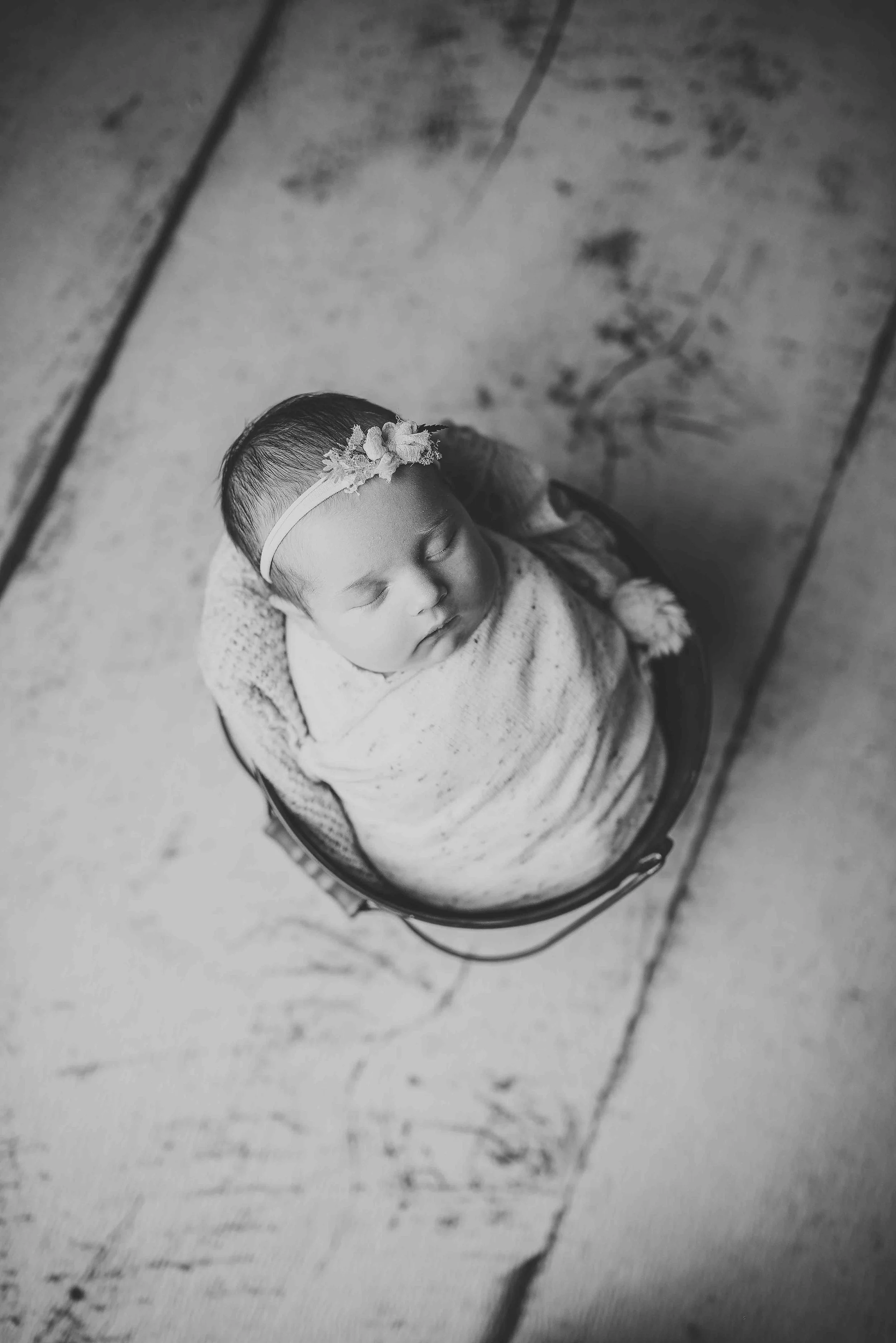 Wrenley's newborn session