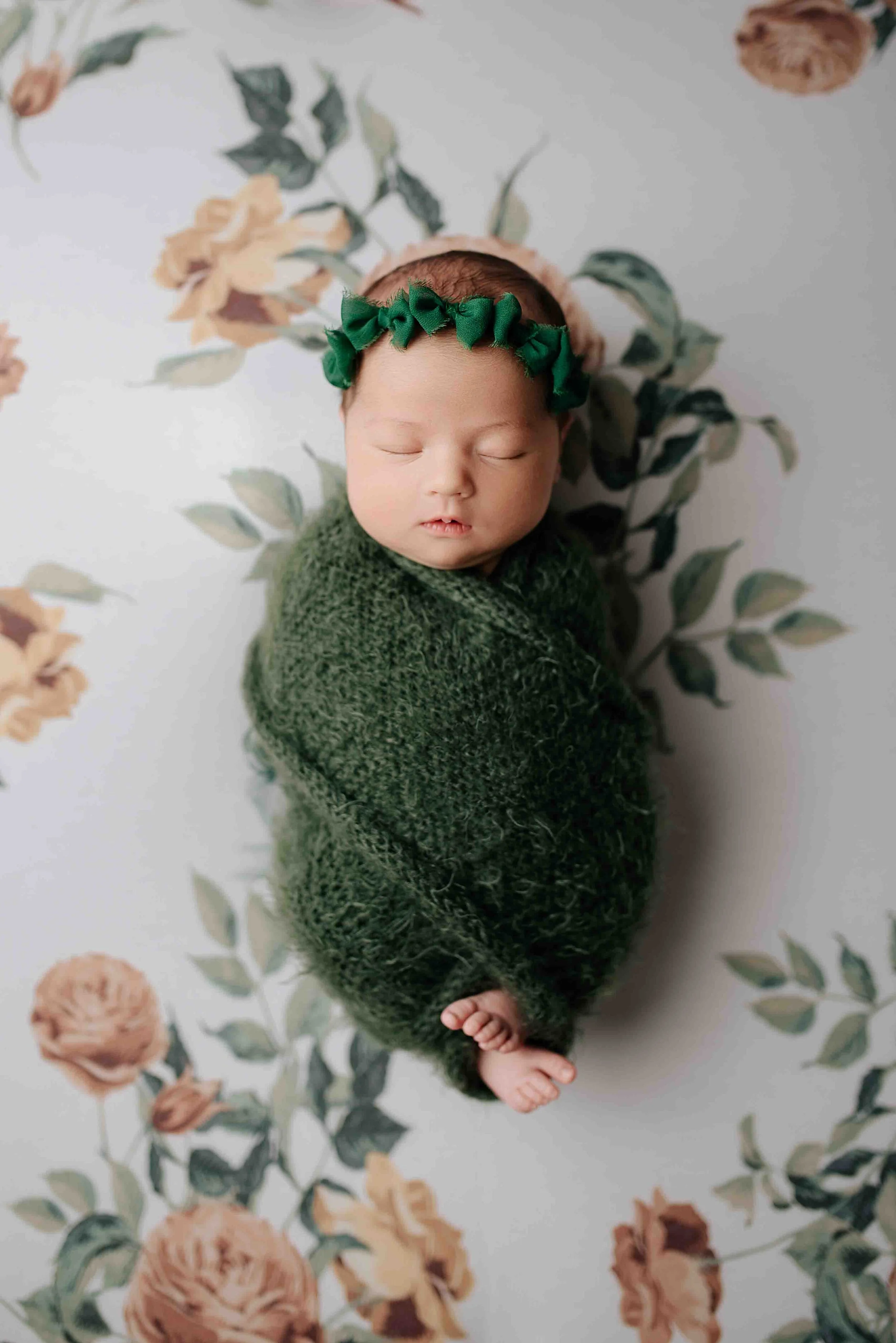 Wren Newborn