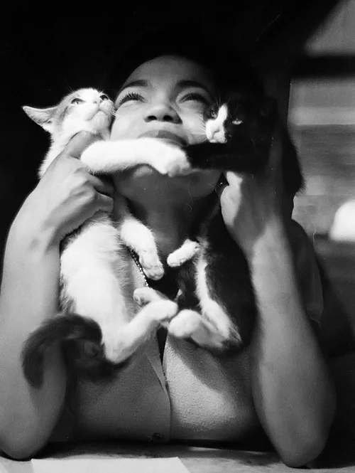 Eartha Kitt, and a couple of kittens, photographed by Gordon Parks. c. 1952