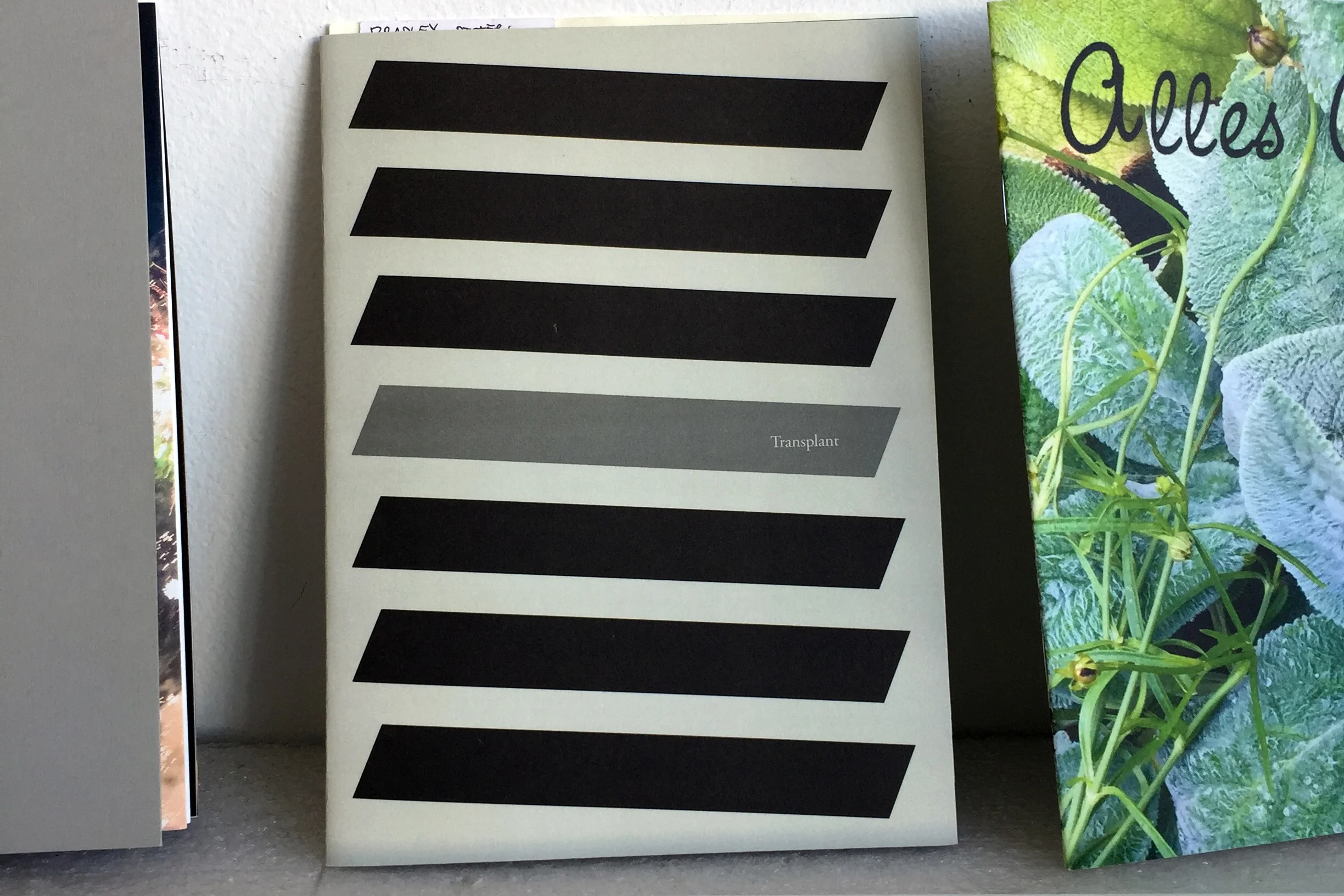 TRANSPLANT BOOK.JPG