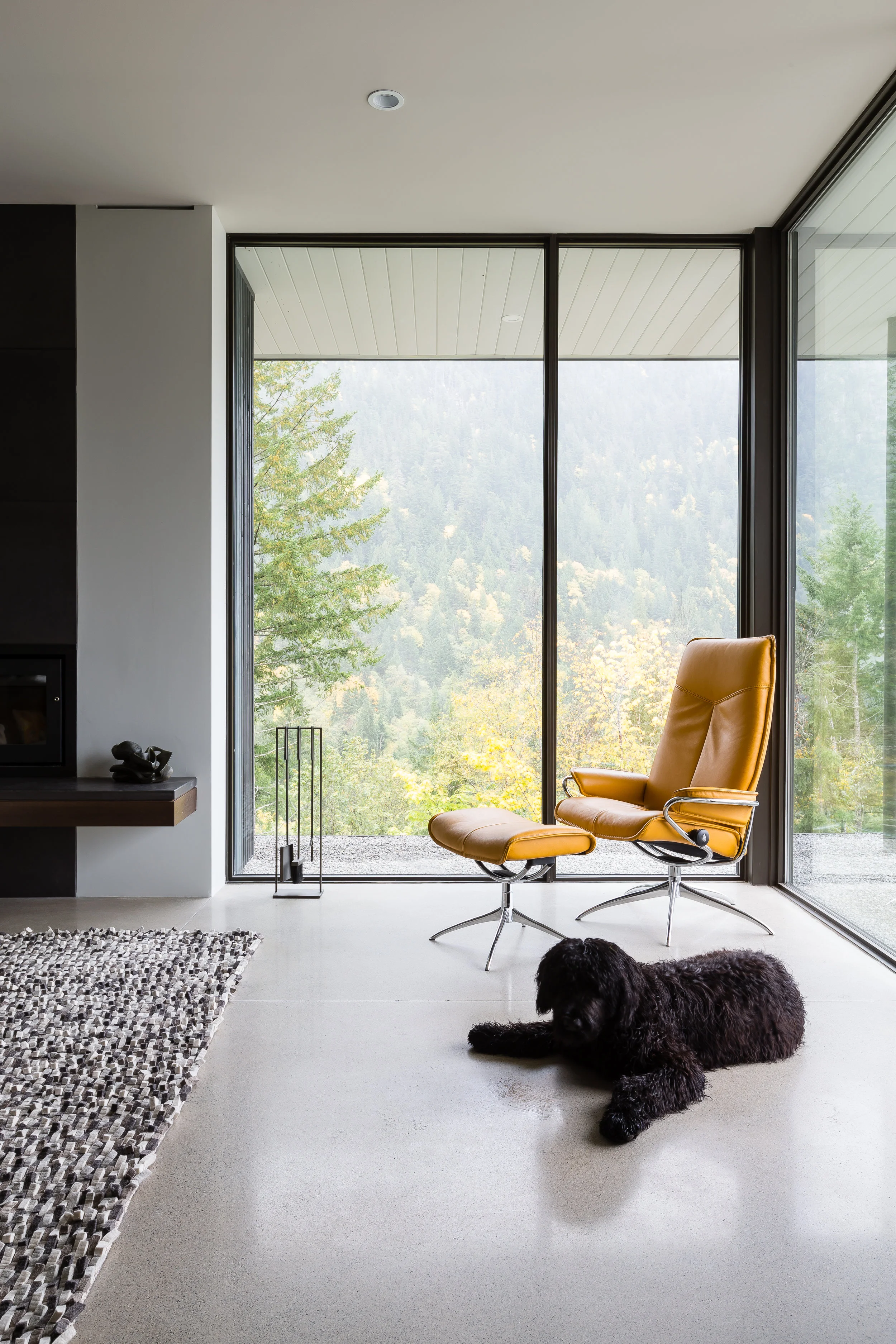 A dog sitting in front of the fireplace and floor to ceiling windows in a home designed by interior design and architectural firm Openspace Architecture based in North Vancouver British Columbia