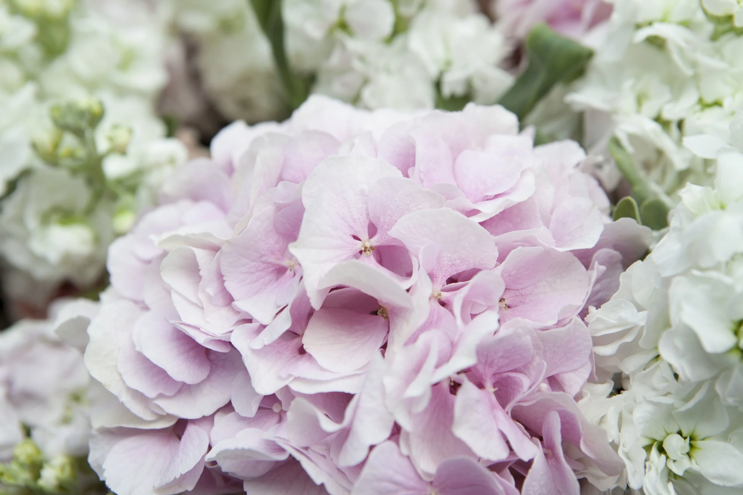 Wedding booked today