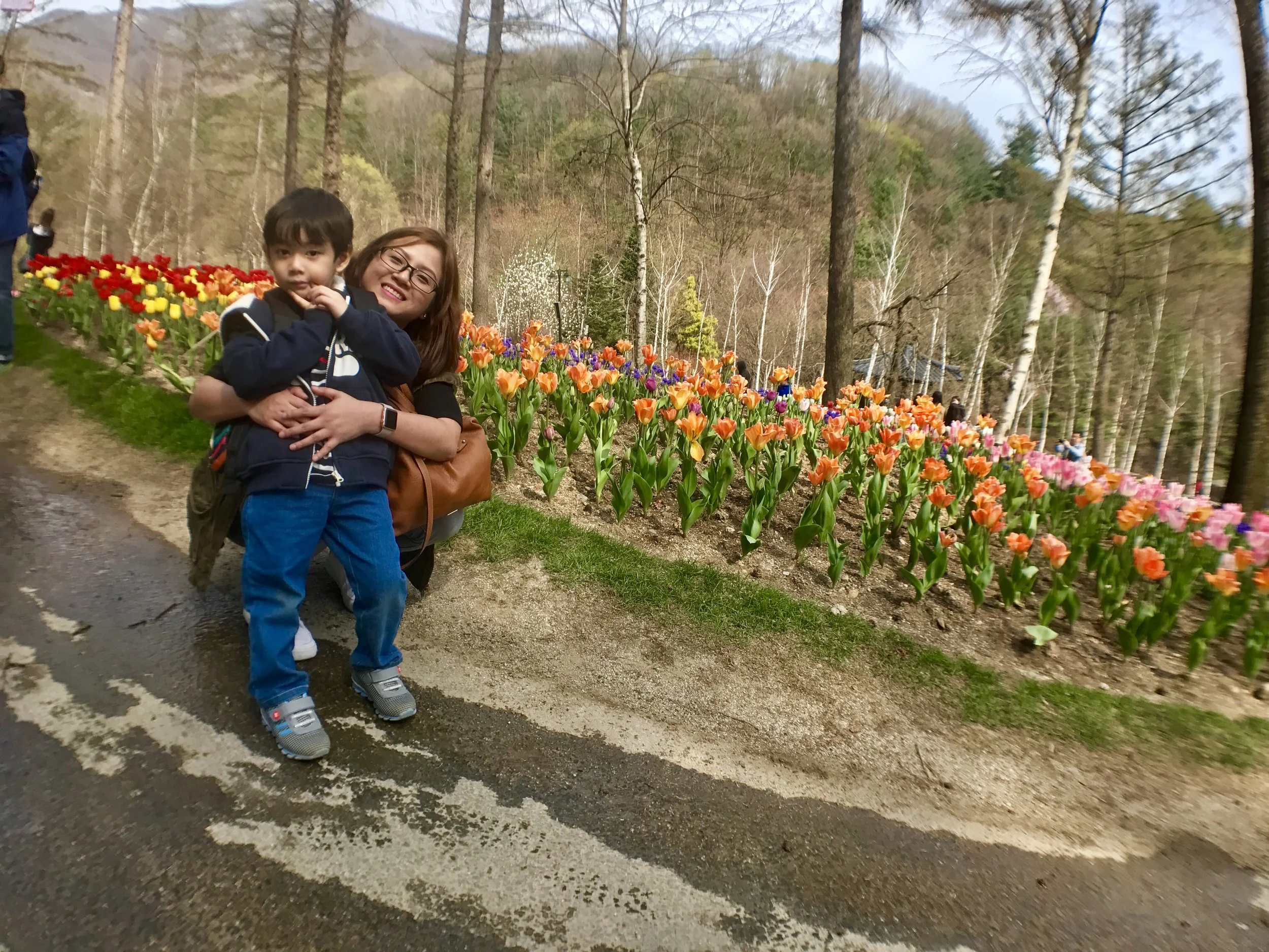 Garden of Morning Calm Flowers