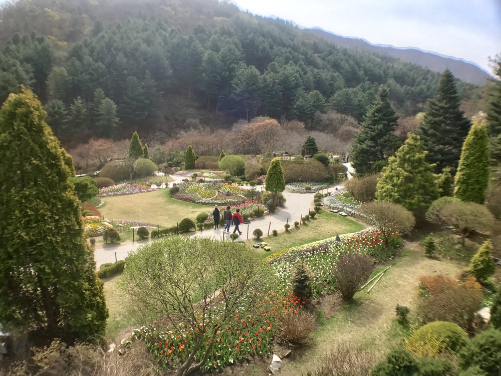 Garden of Morning Calm Landscape