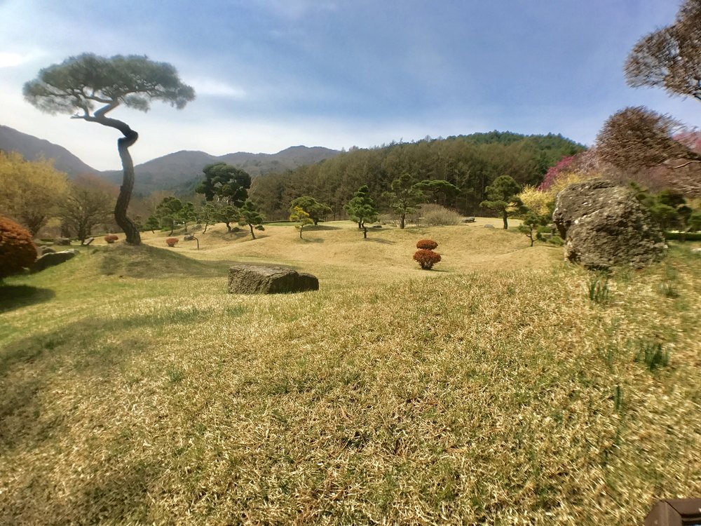 Garden of Morning Calm Landscape