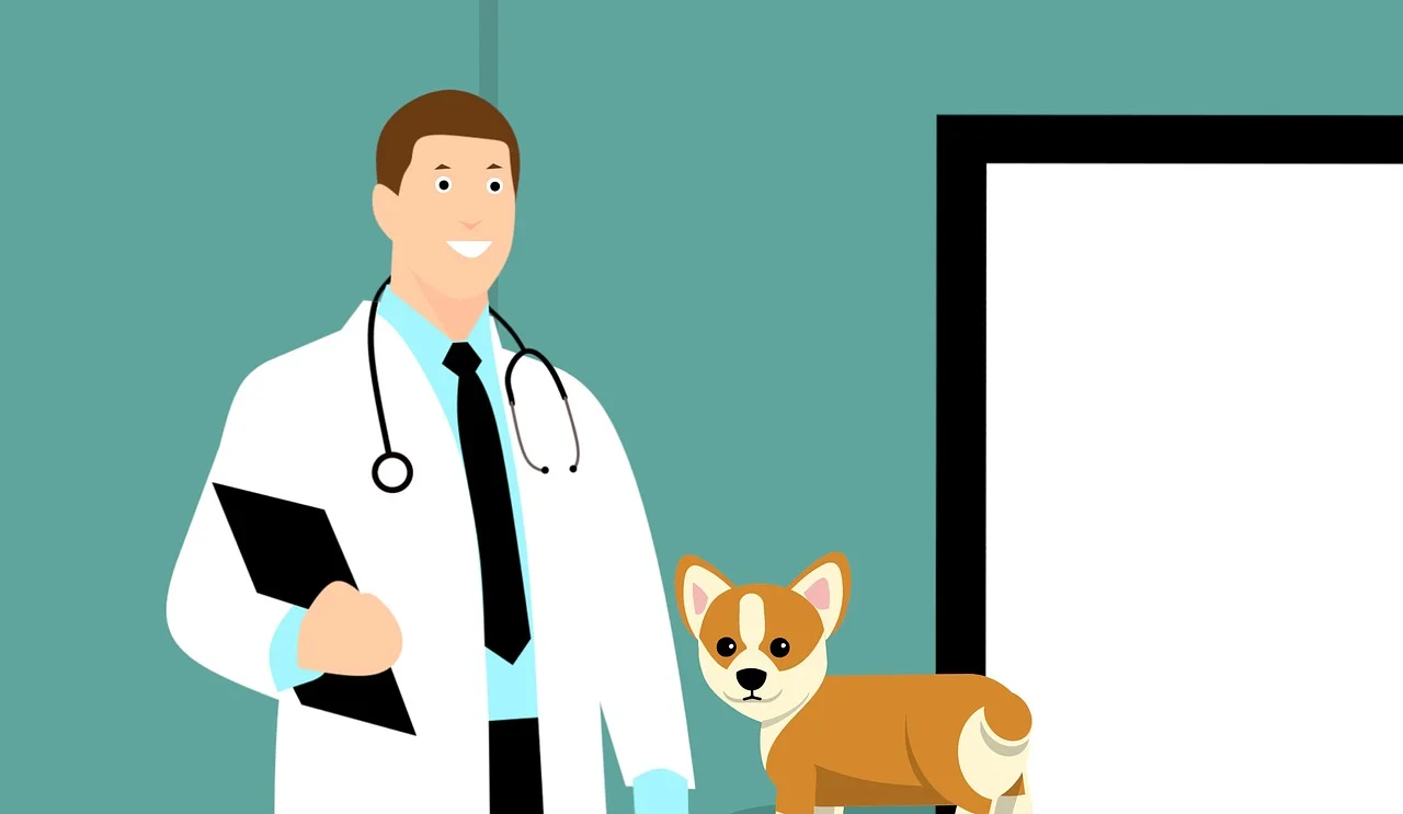 vet-3895477_1280.jpg
