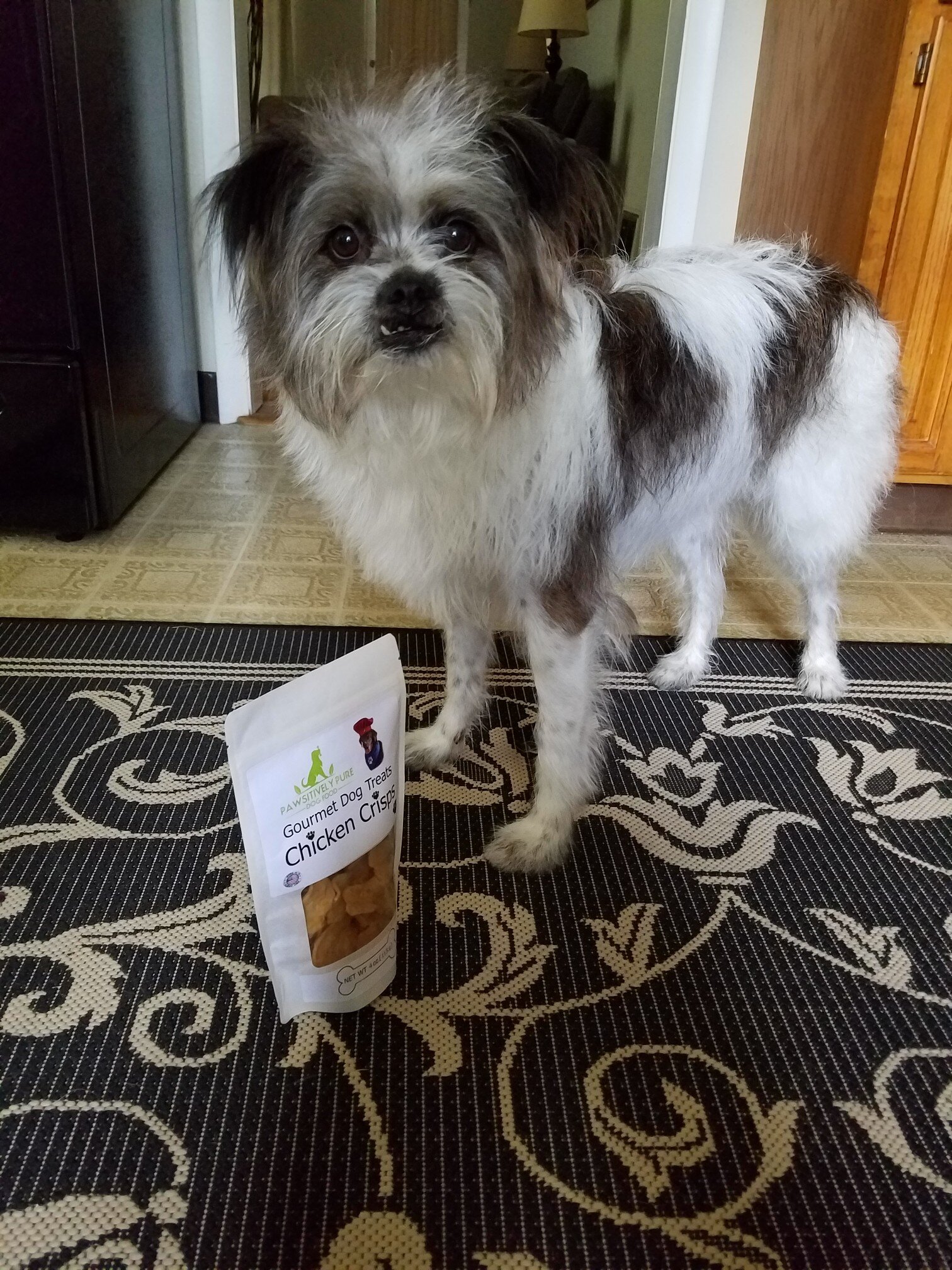 pure being dog treats