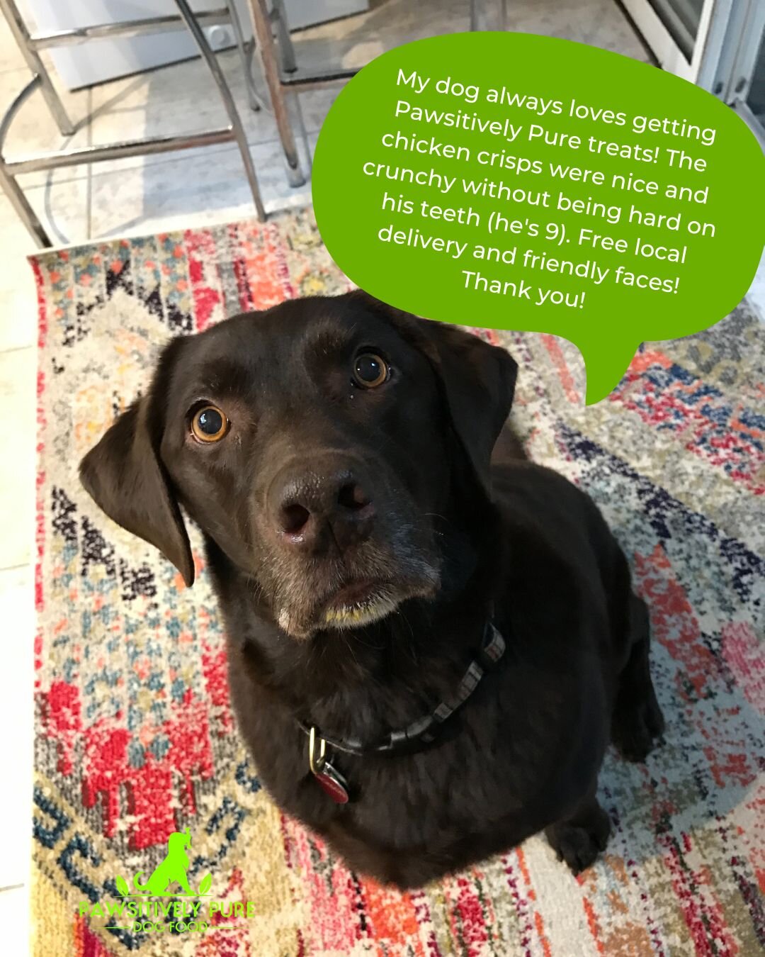 We are so proud to make food and treats for dogs of all ages and life stages! 🐾 Our wholesome treats and chicken crisps are formulated to delight your dog without being too hard to chew. 
 
Thanks for the great review! 🌟 If you've had a great exper