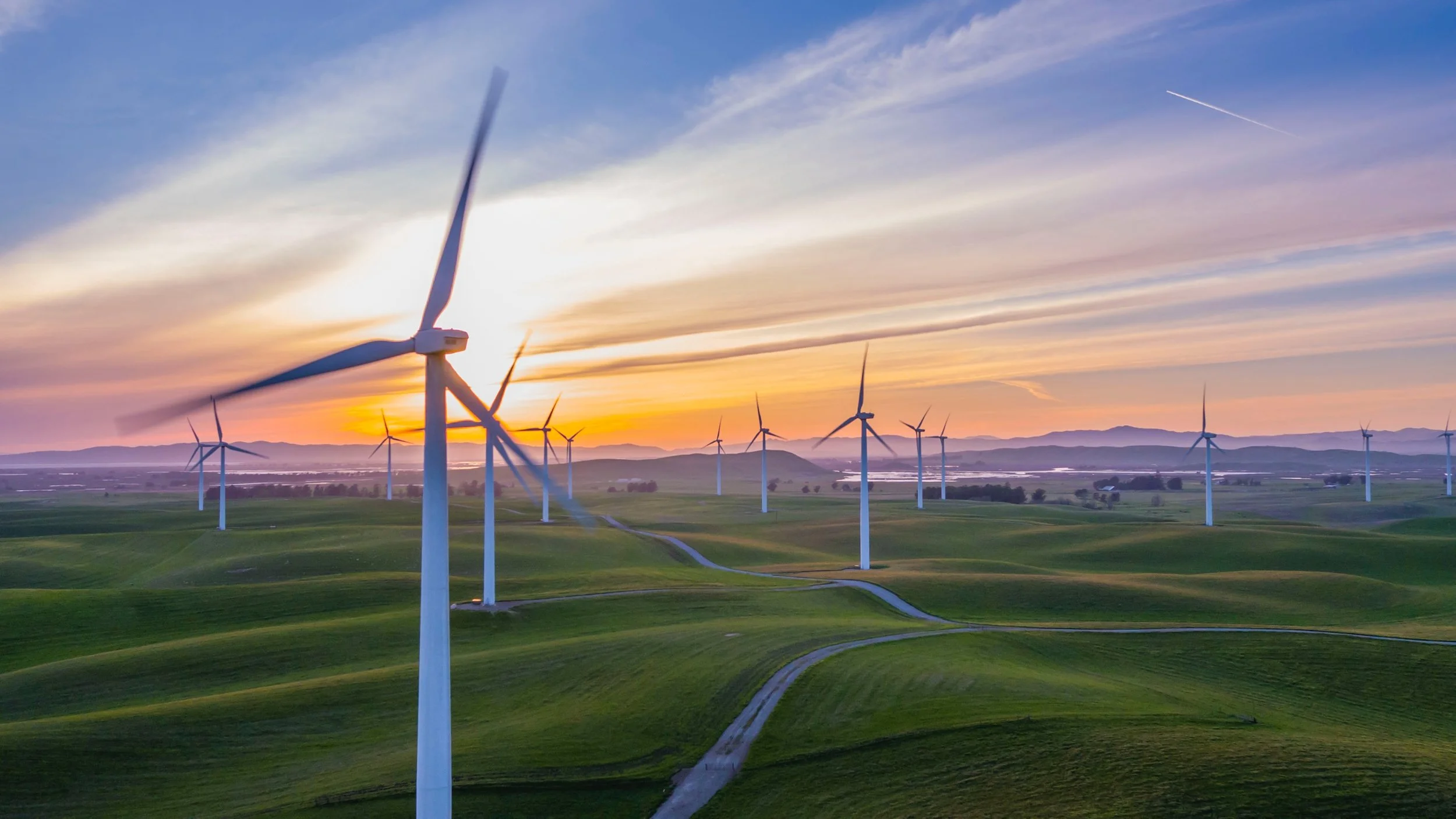 Wind farm.jpg