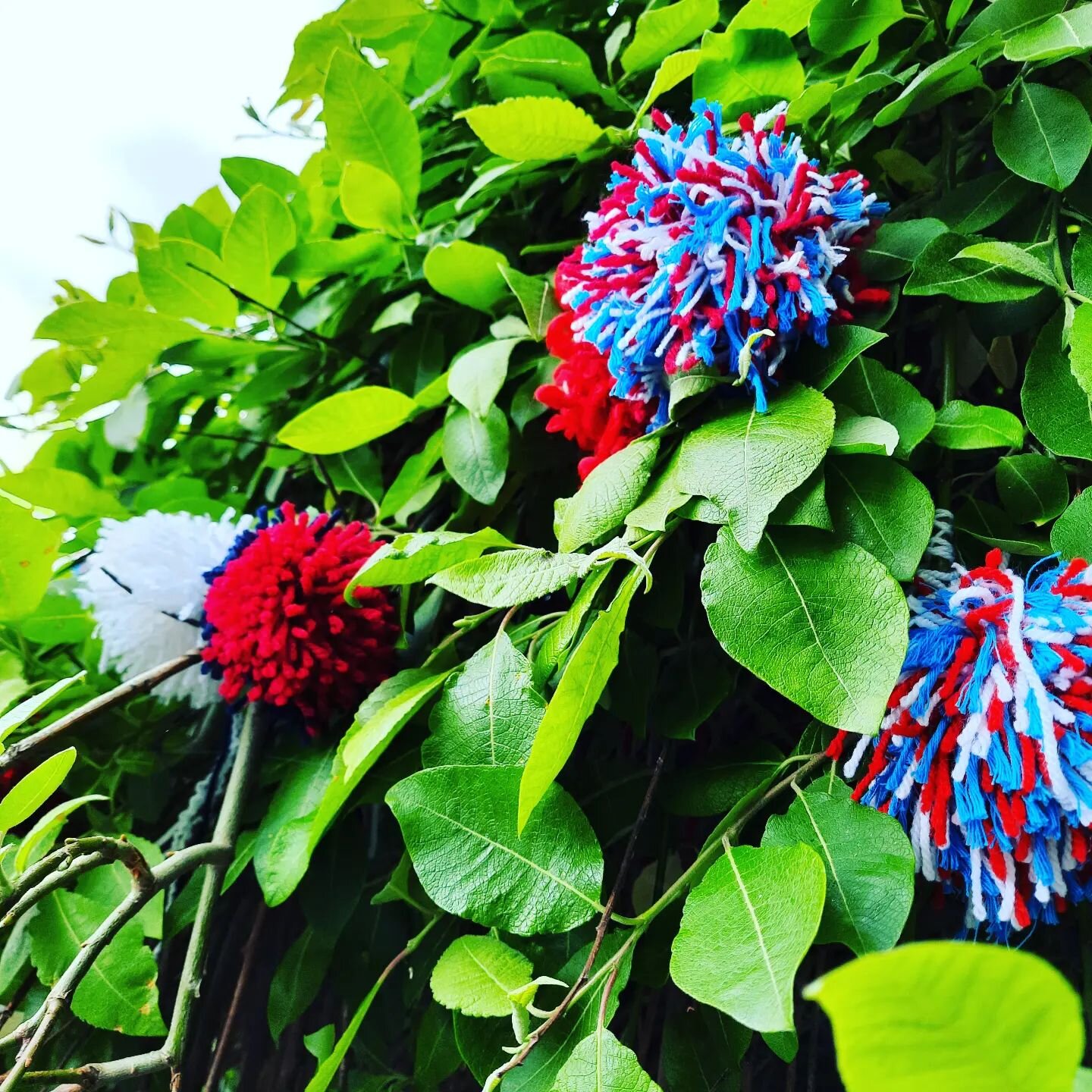 Jubilee pompoms!

#jubilee
#platinumjubilee 
#streetparty

Join us 10:30am this Saturday!