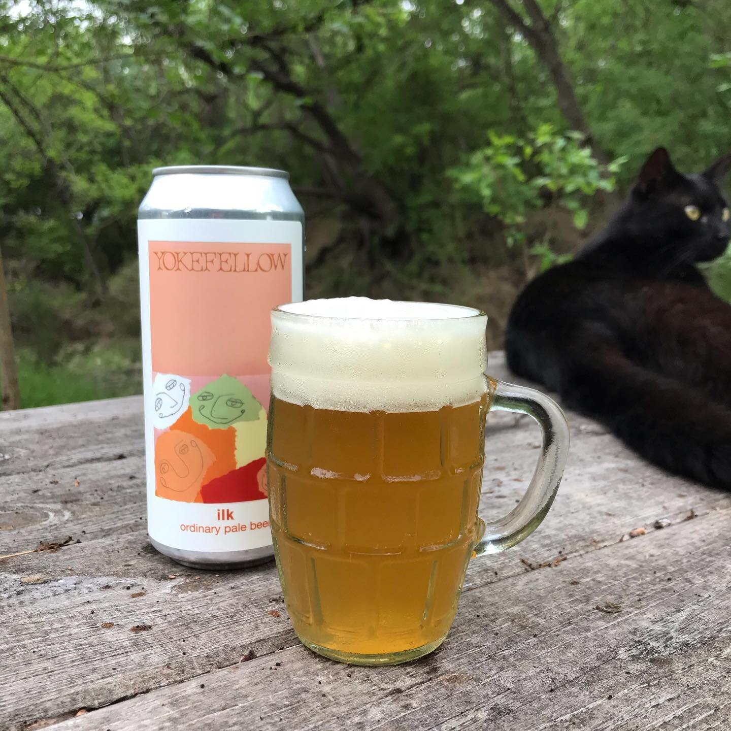 Ordinary pale beer returns, and it is nice.
.
.
Once again, &ldquo;ilk&rdquo;, our English-ish pale beer maneuvers through the retail current. Austin will begin to receive it today + tomorrow, followed by San Antonio and the Hill Country on Friday. 

