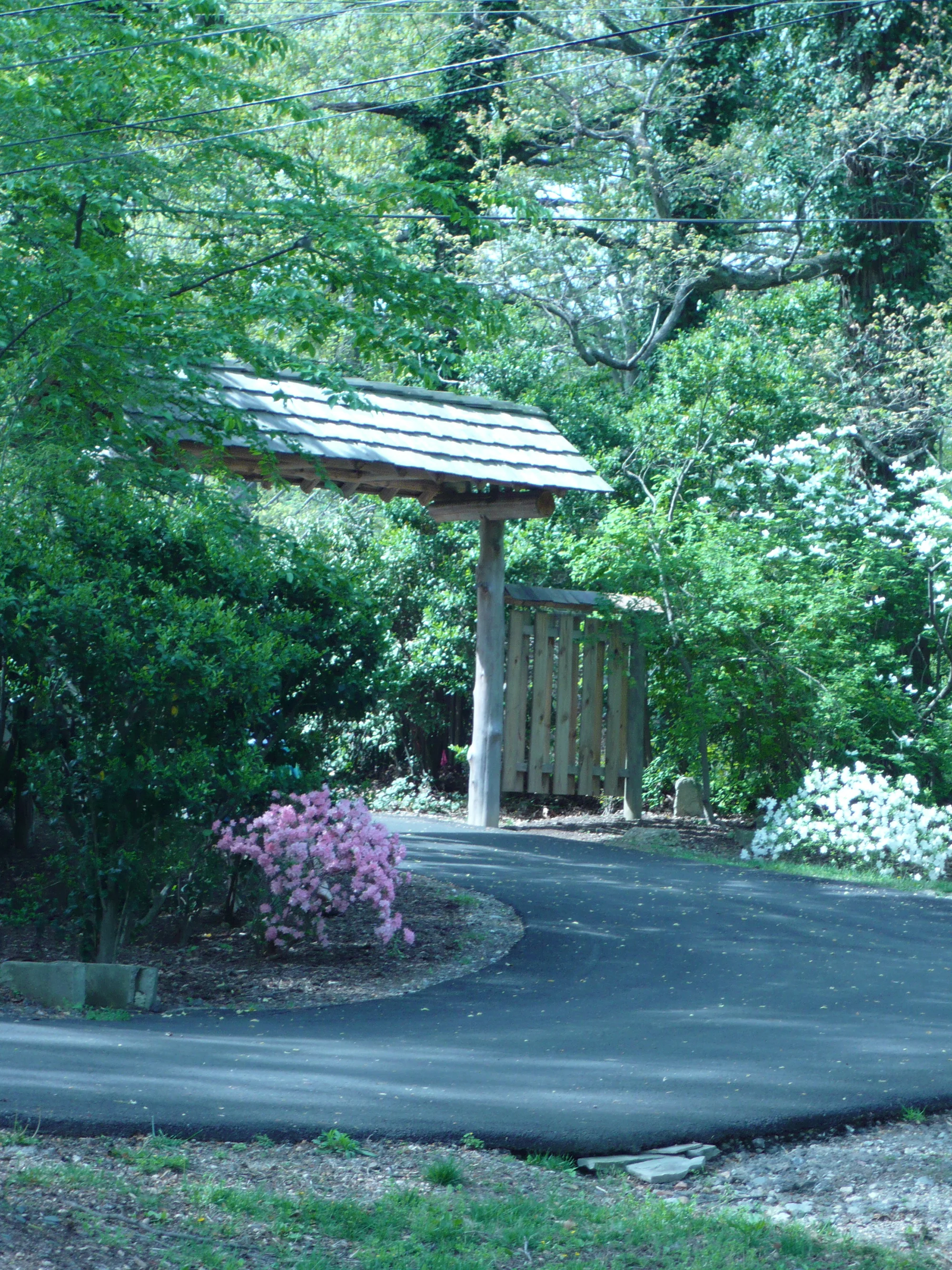 P1000579.JPG