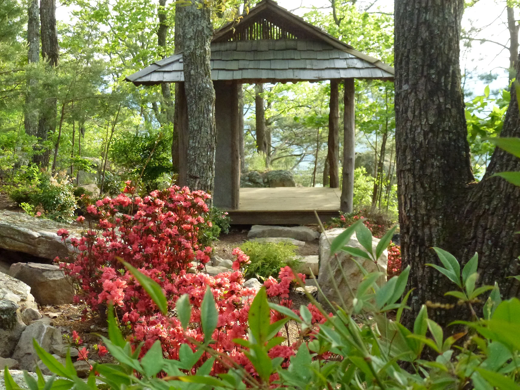 P1000540.JPG
