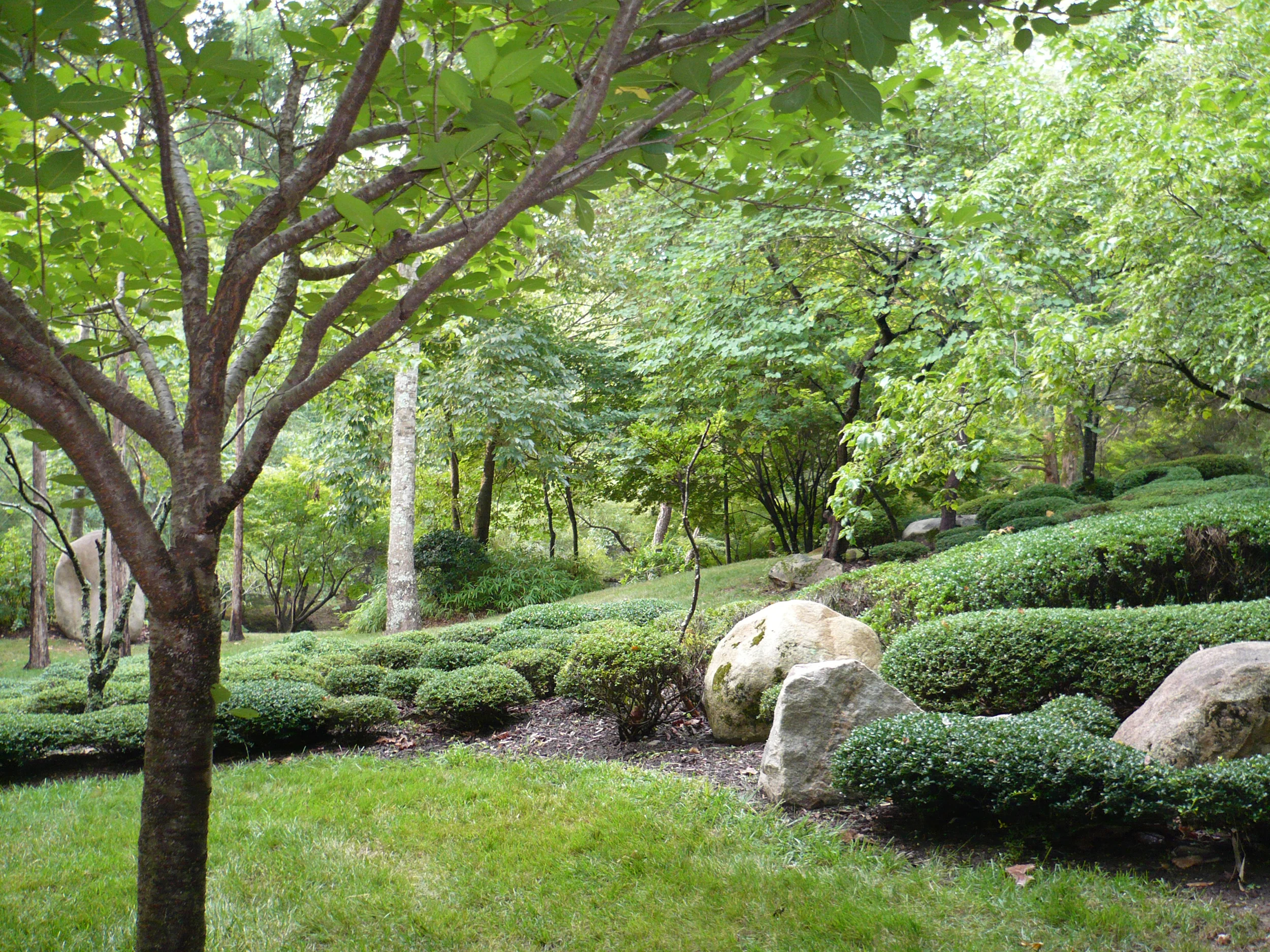 P1000774.JPG