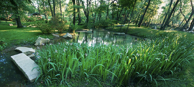 Image 2.jpg
