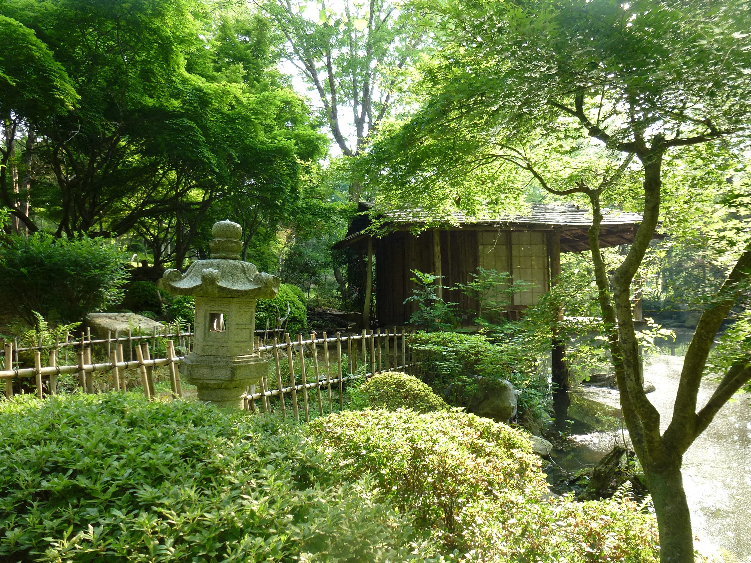 P1030442.JPG