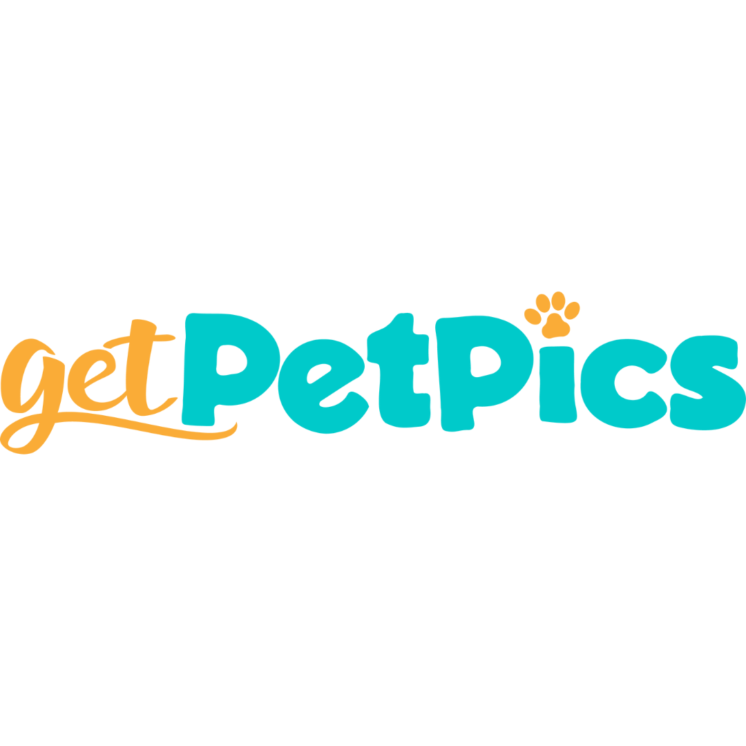 Get Pet Pics Logo Square.png