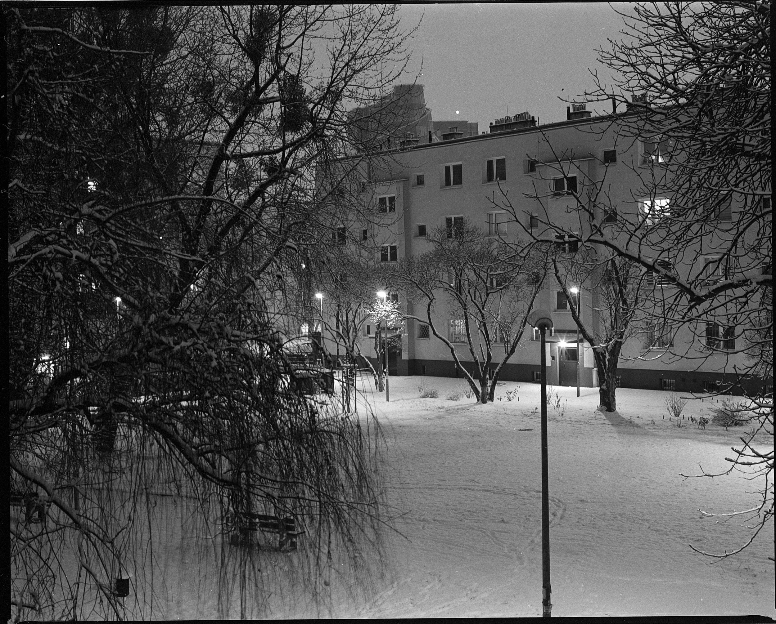 Image 11 3 7.jpg