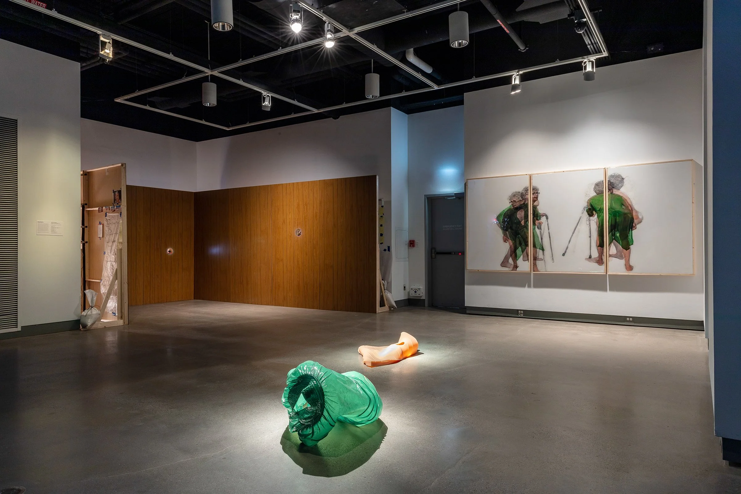 Install View Wide 1.jpg