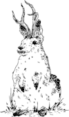 jack.png