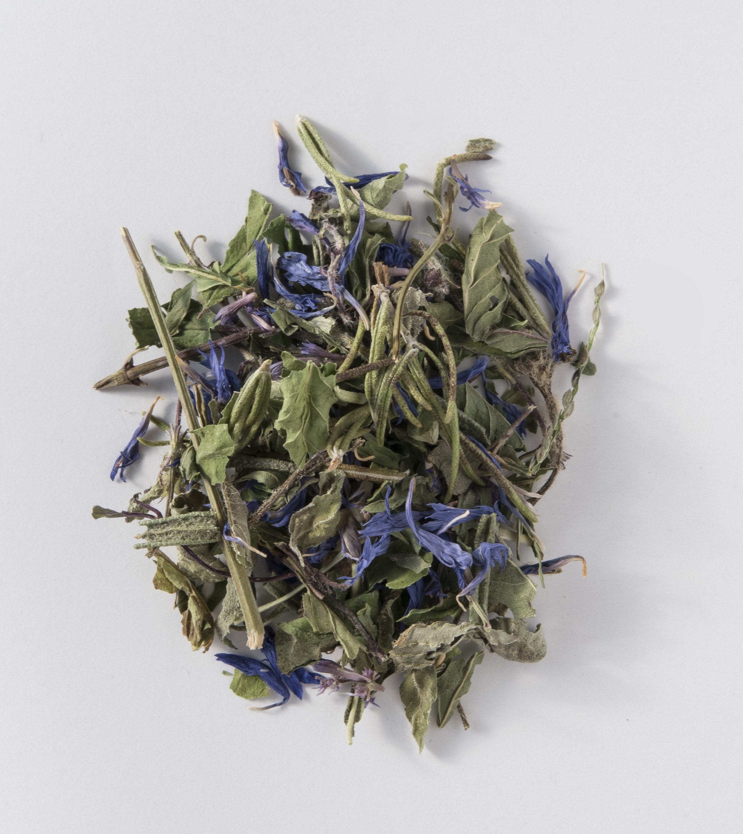 WellRooted-2953.jpg