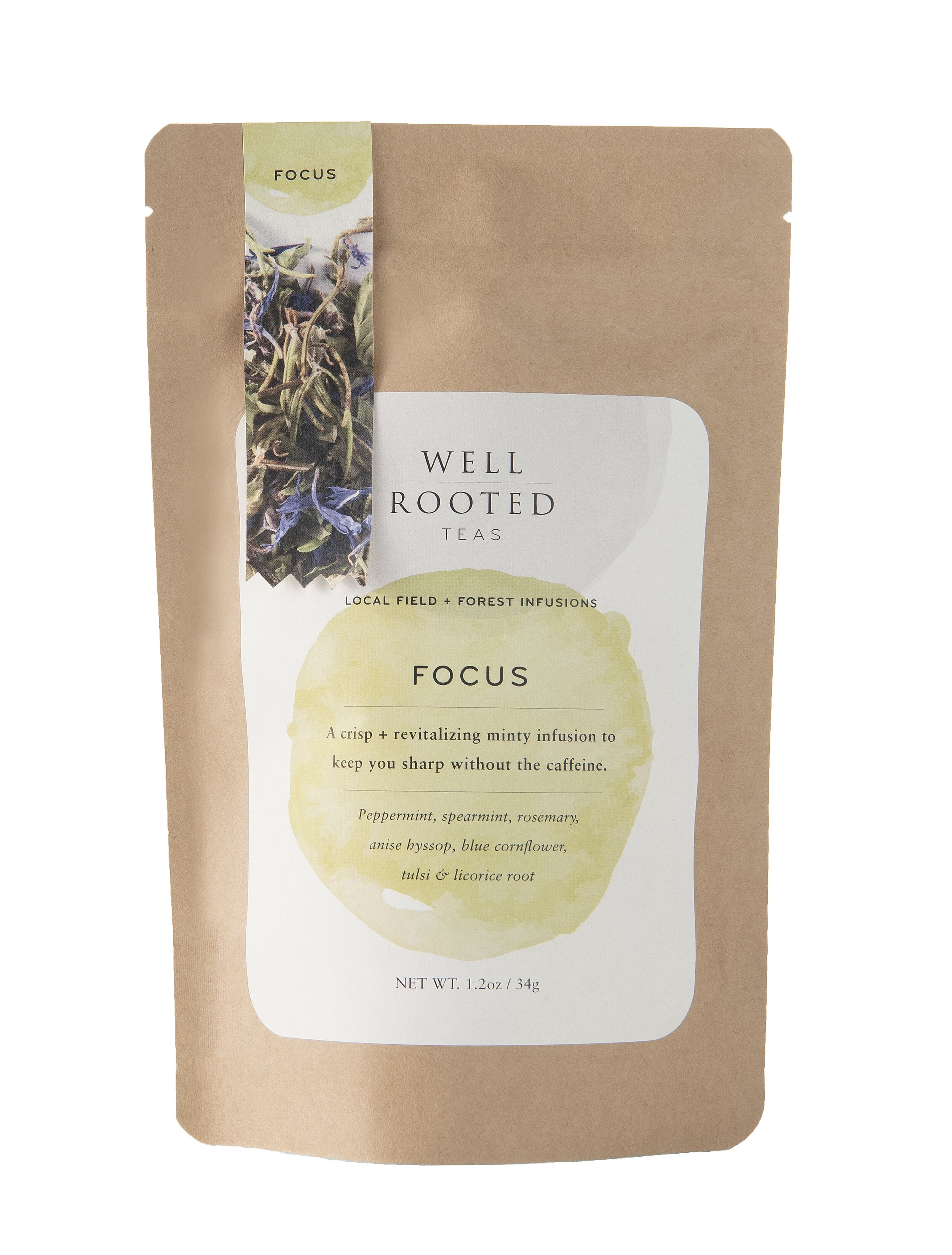 FocusBag.outline.jpg