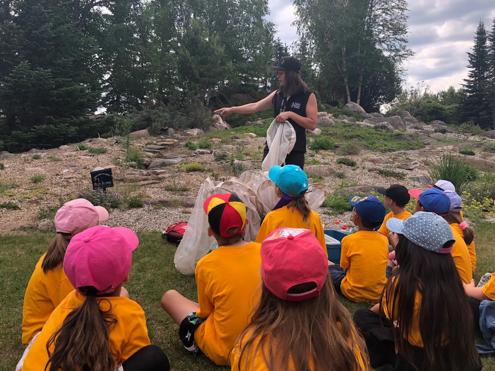 Summer butterfly.jpg