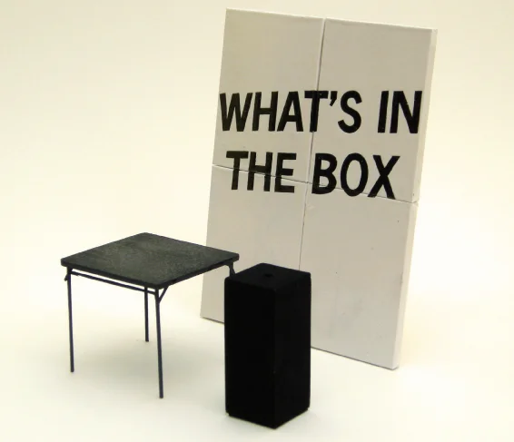 "What's in the Box!" David Horvitz and Lukas Geronimas