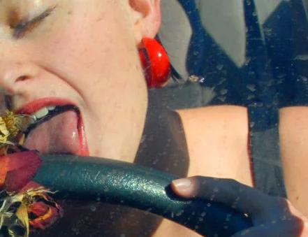 "Autolove" Jennifer Remenchik