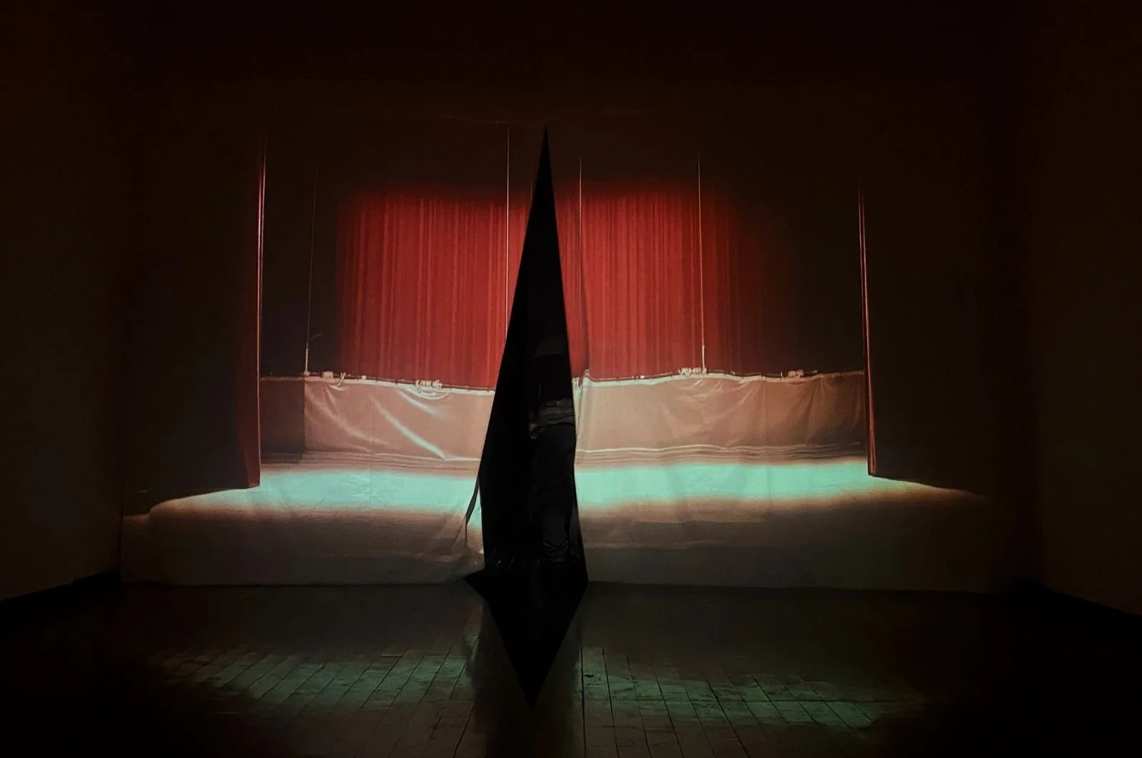 "Day for Night" : Fabiola Torres-Alzaga