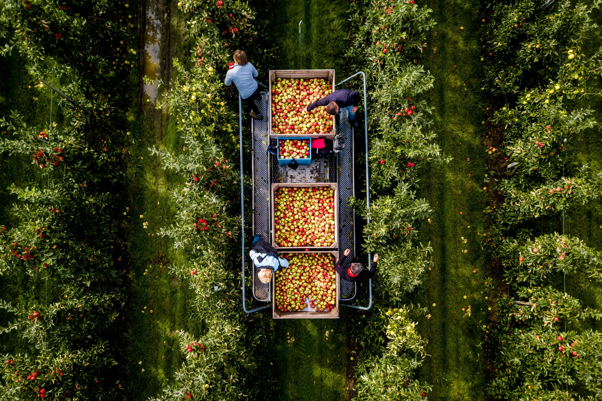 DJI_0416.jpg
