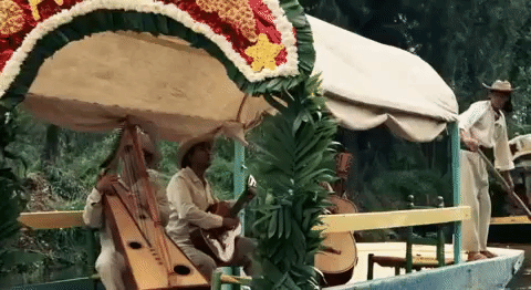giphy (14).gif