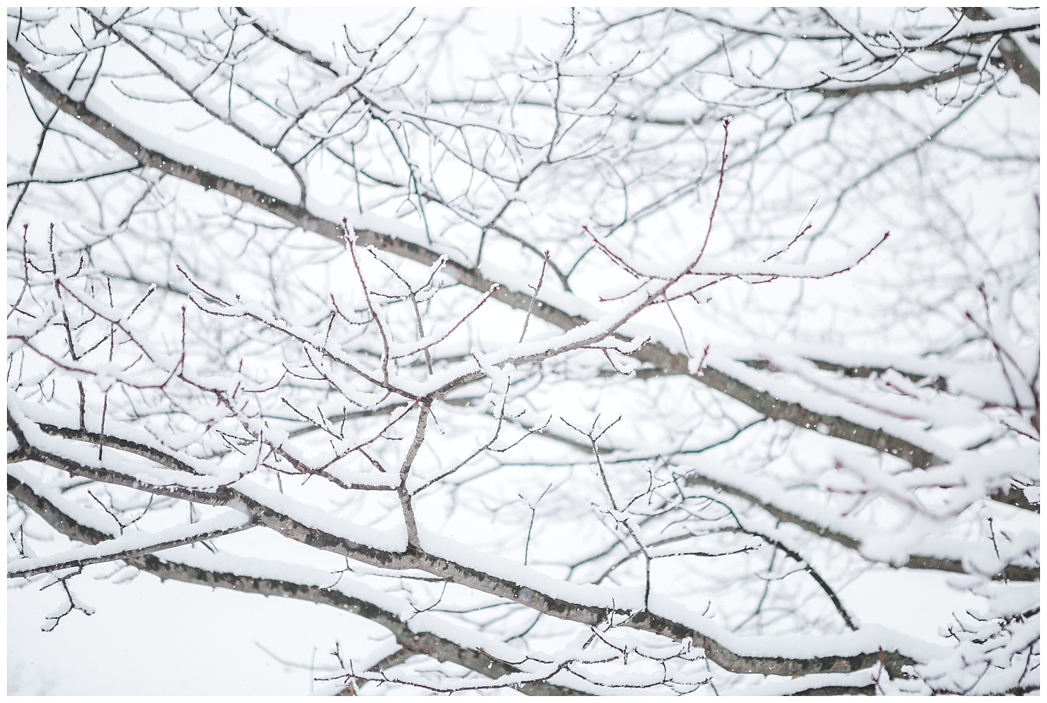 IMG_9807_Snow Day - blog.jpg
